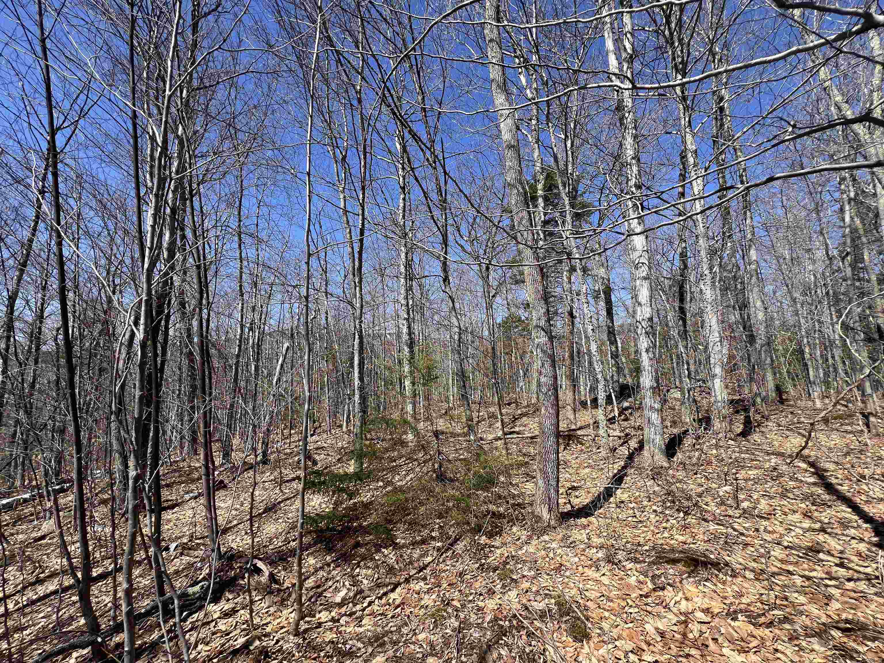 Forrester Road Property Photo 3