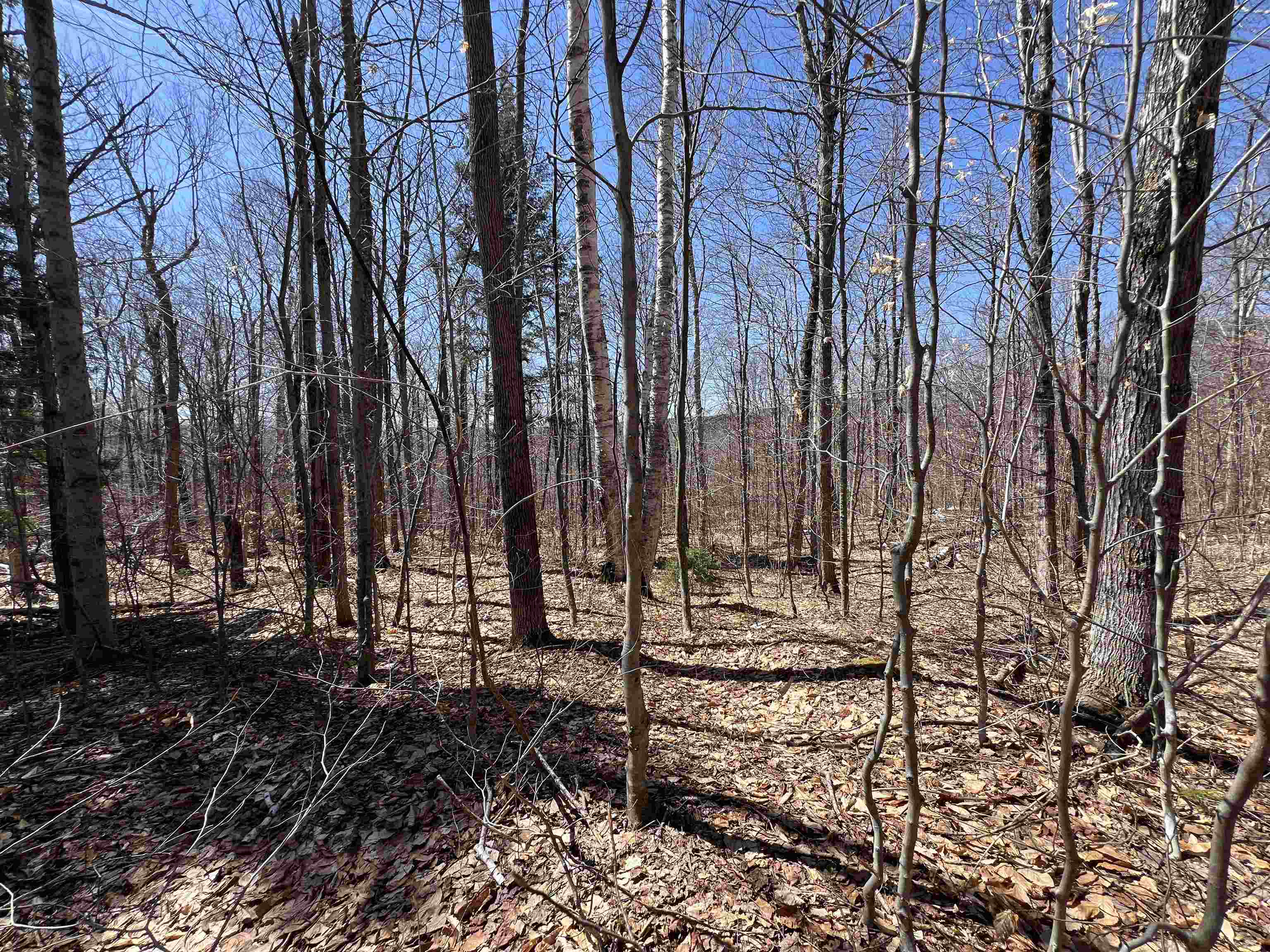 Forrester Road Property Photo 9