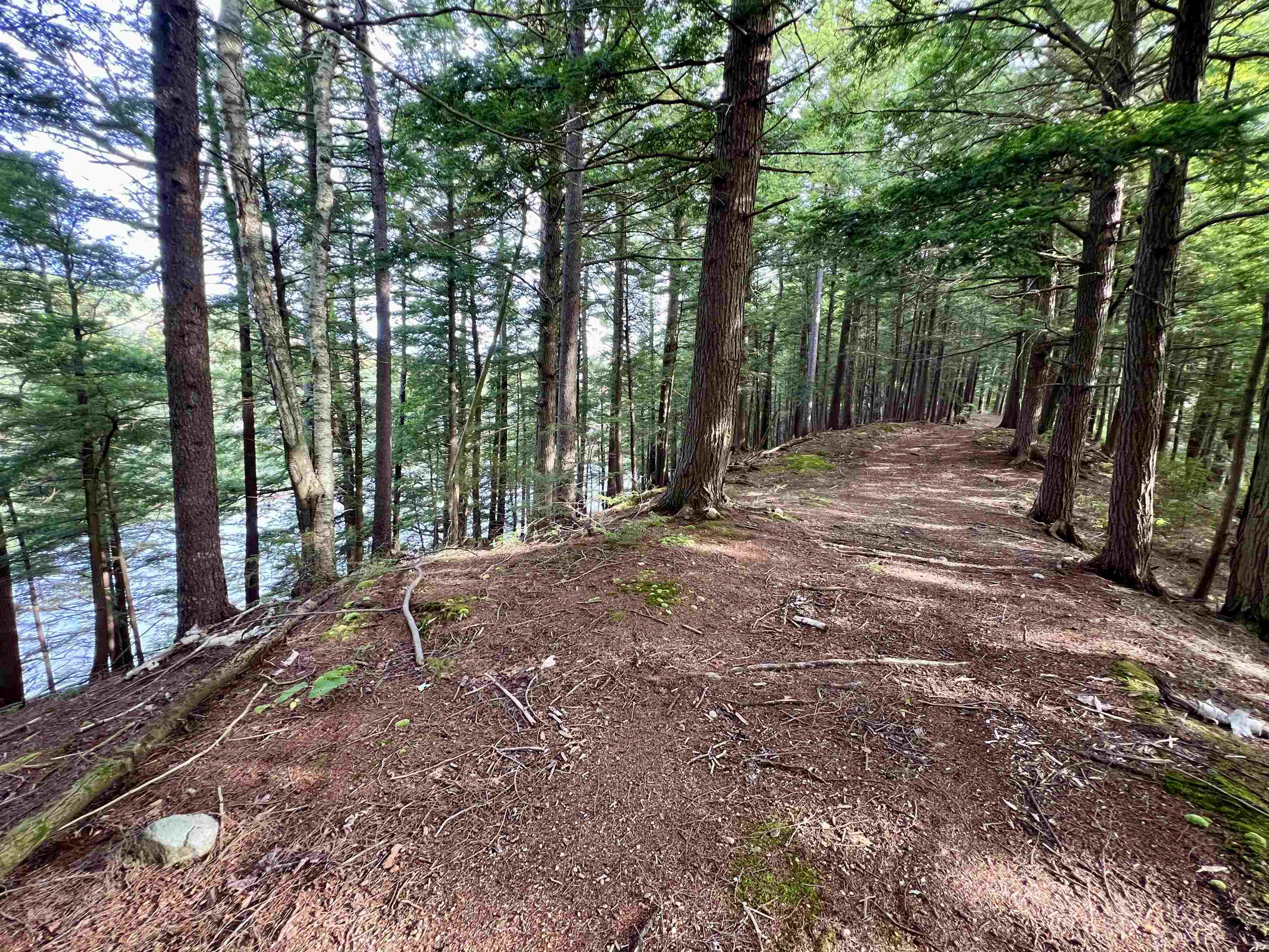 Forrester Road Property Photo 9