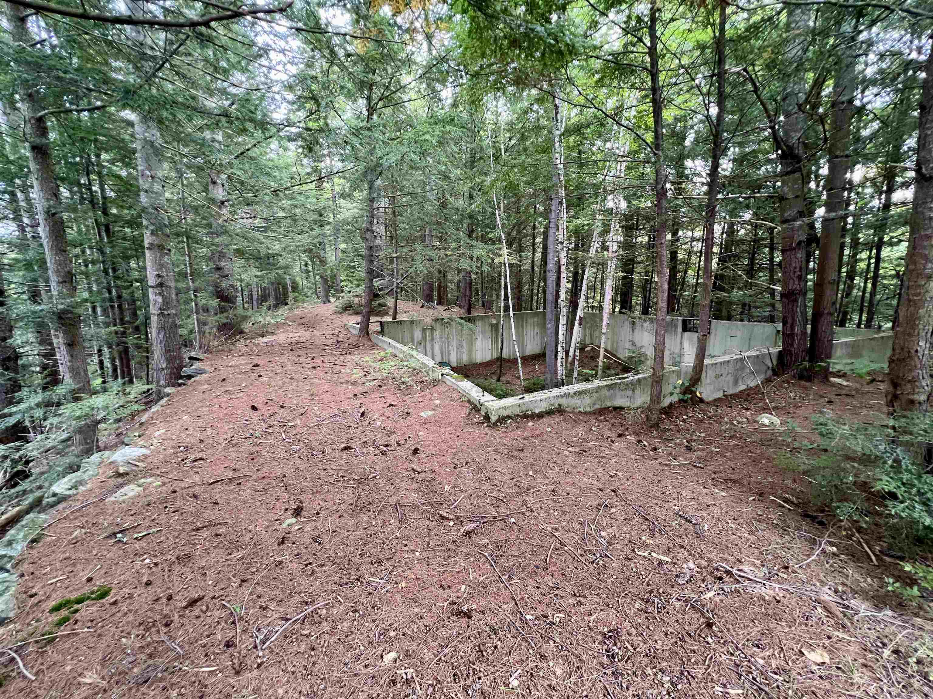 Forrester Road Property Photo 11