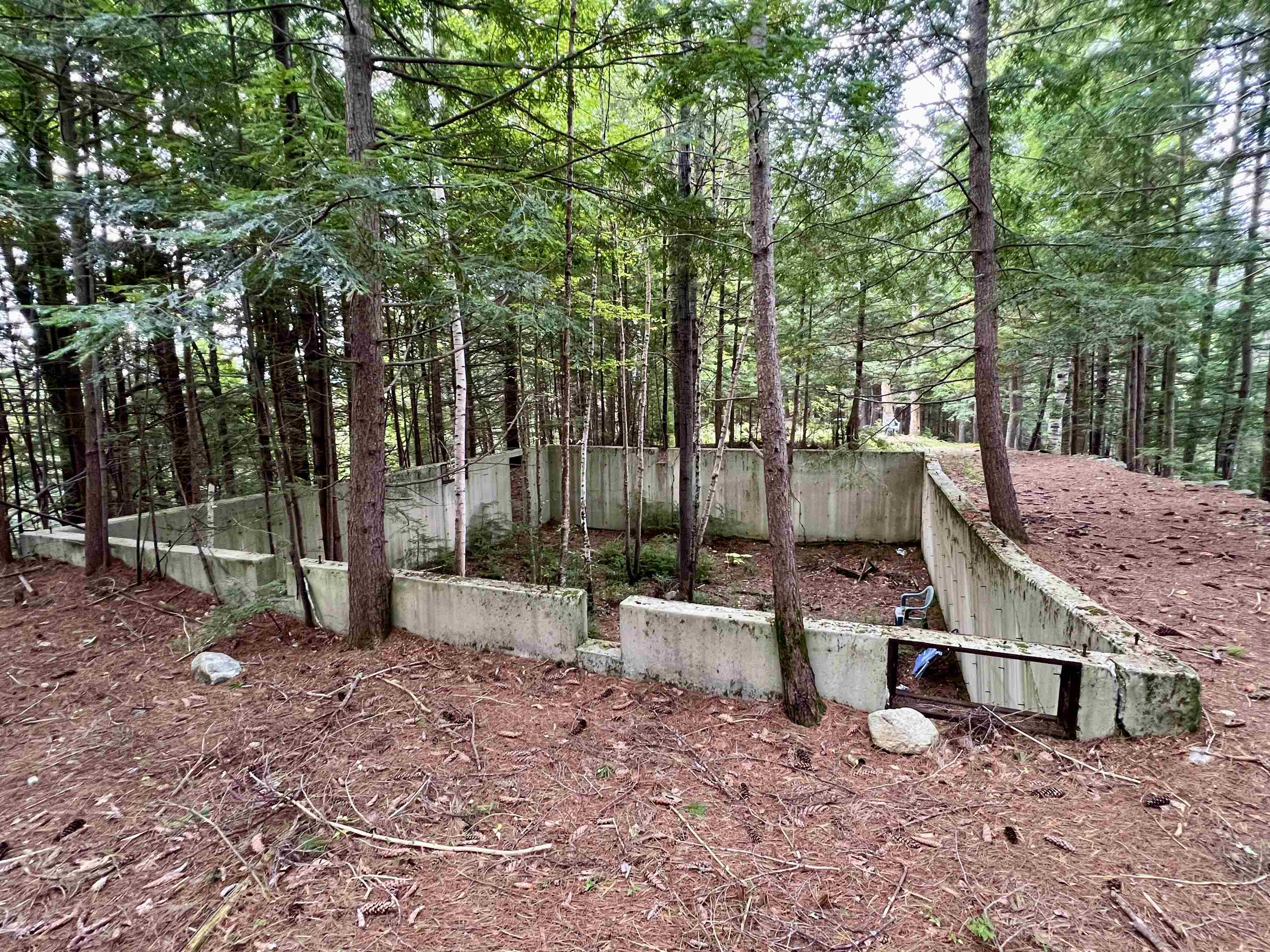 Forrester Road Property Photo 12