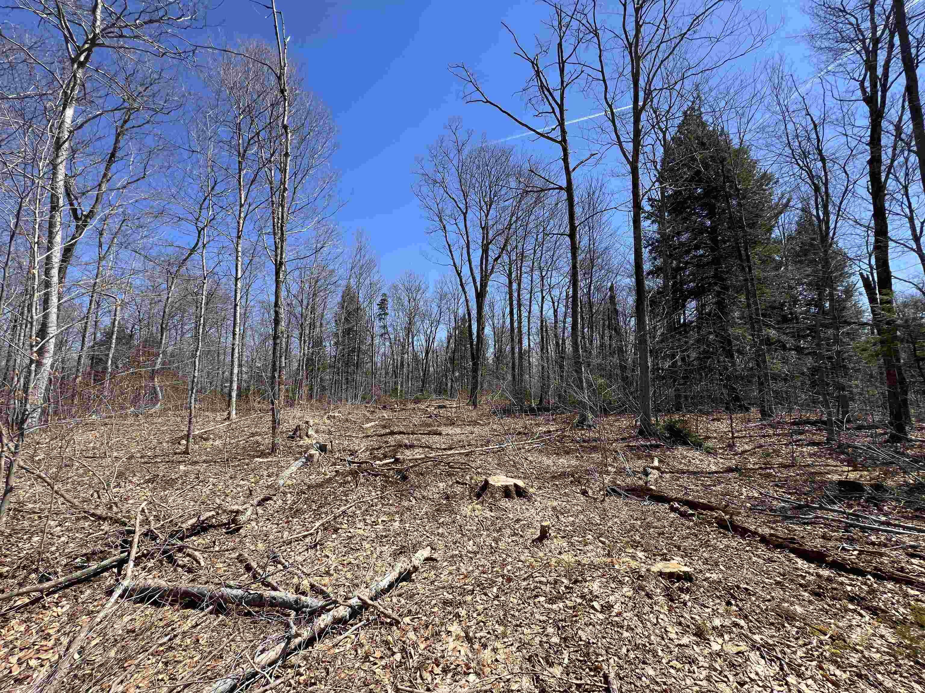 Forrester Road Property Photo 13