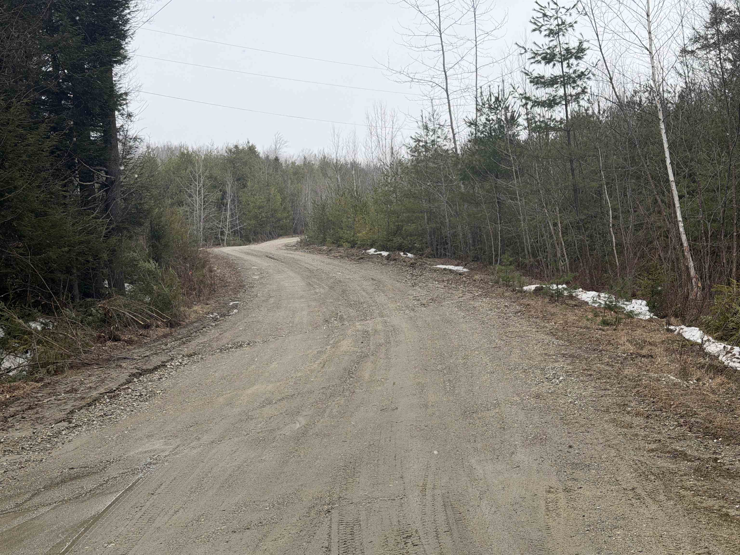 Forrester Road Property Photo 18