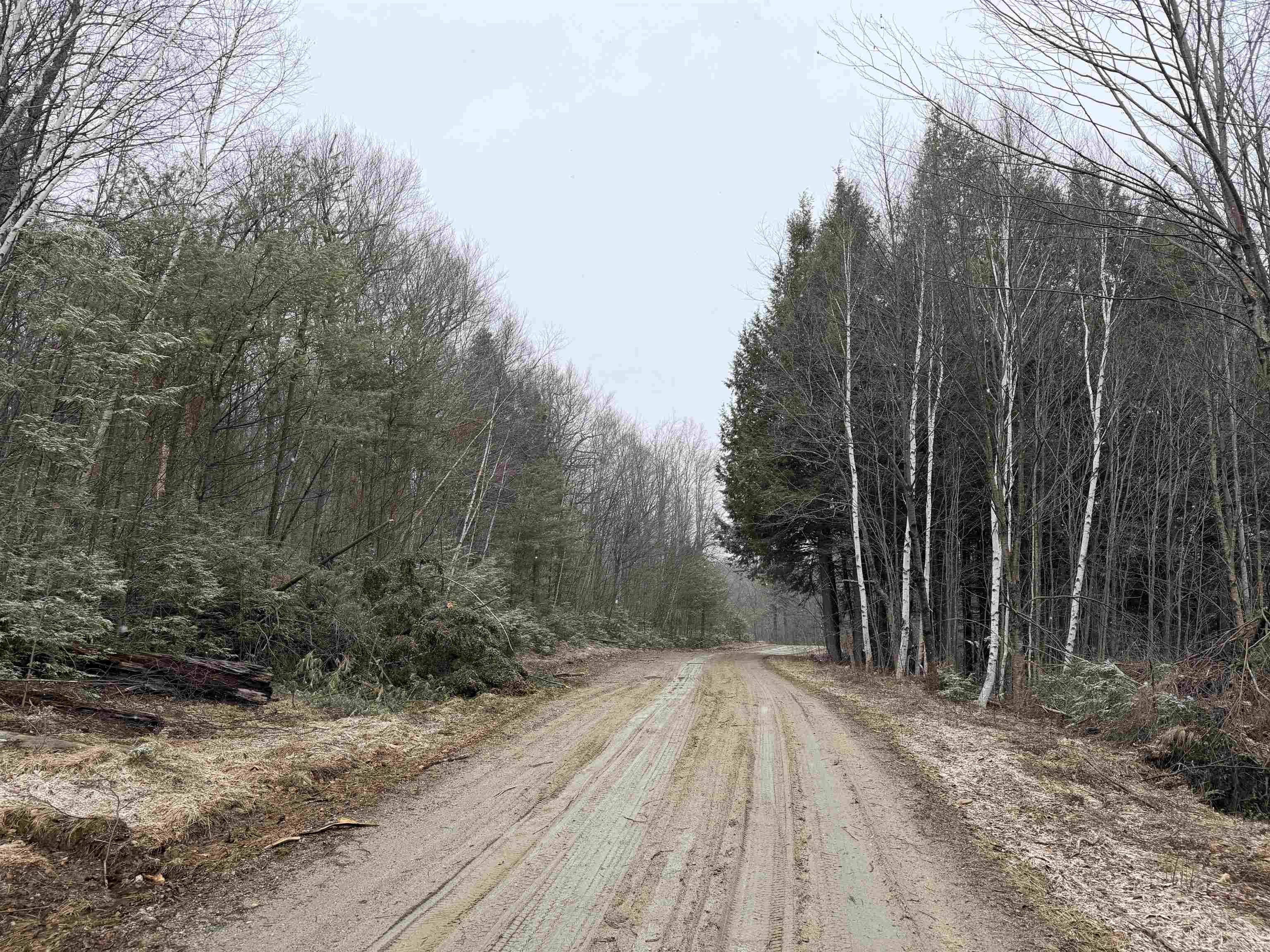 Forrester Road Property Photo 19