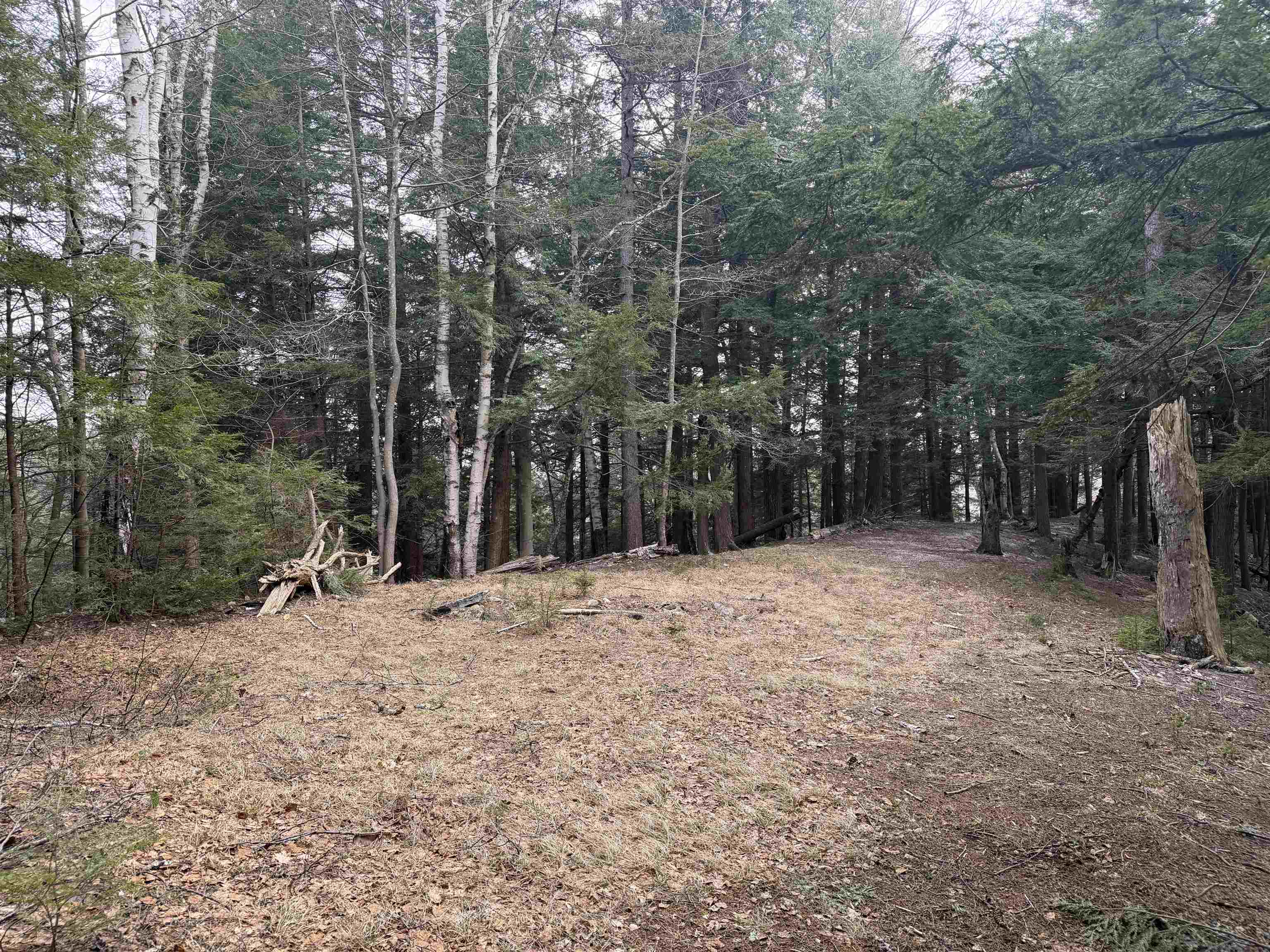 Forrester Road Property Photo 20