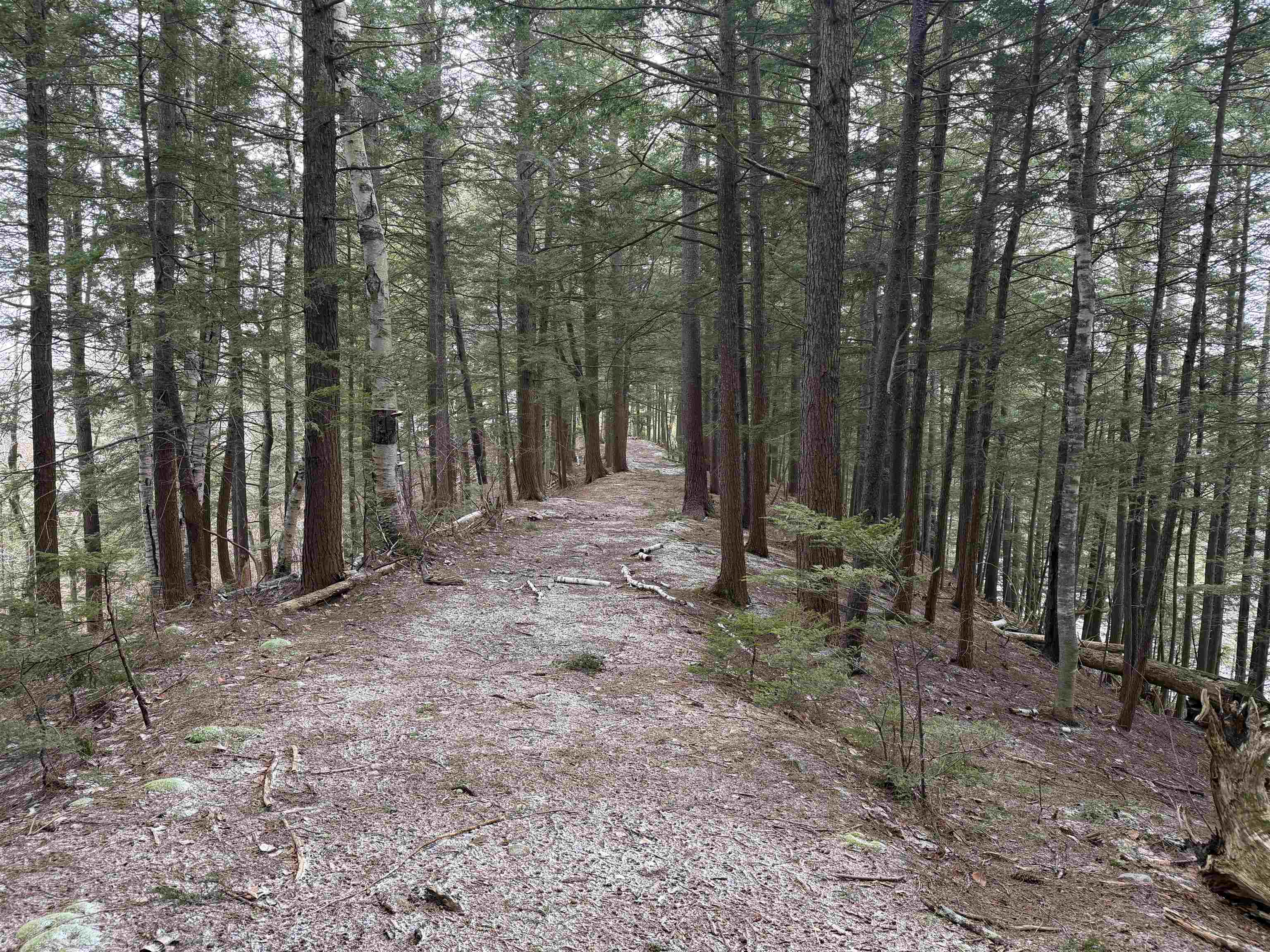 Forrester Road Property Photo 21