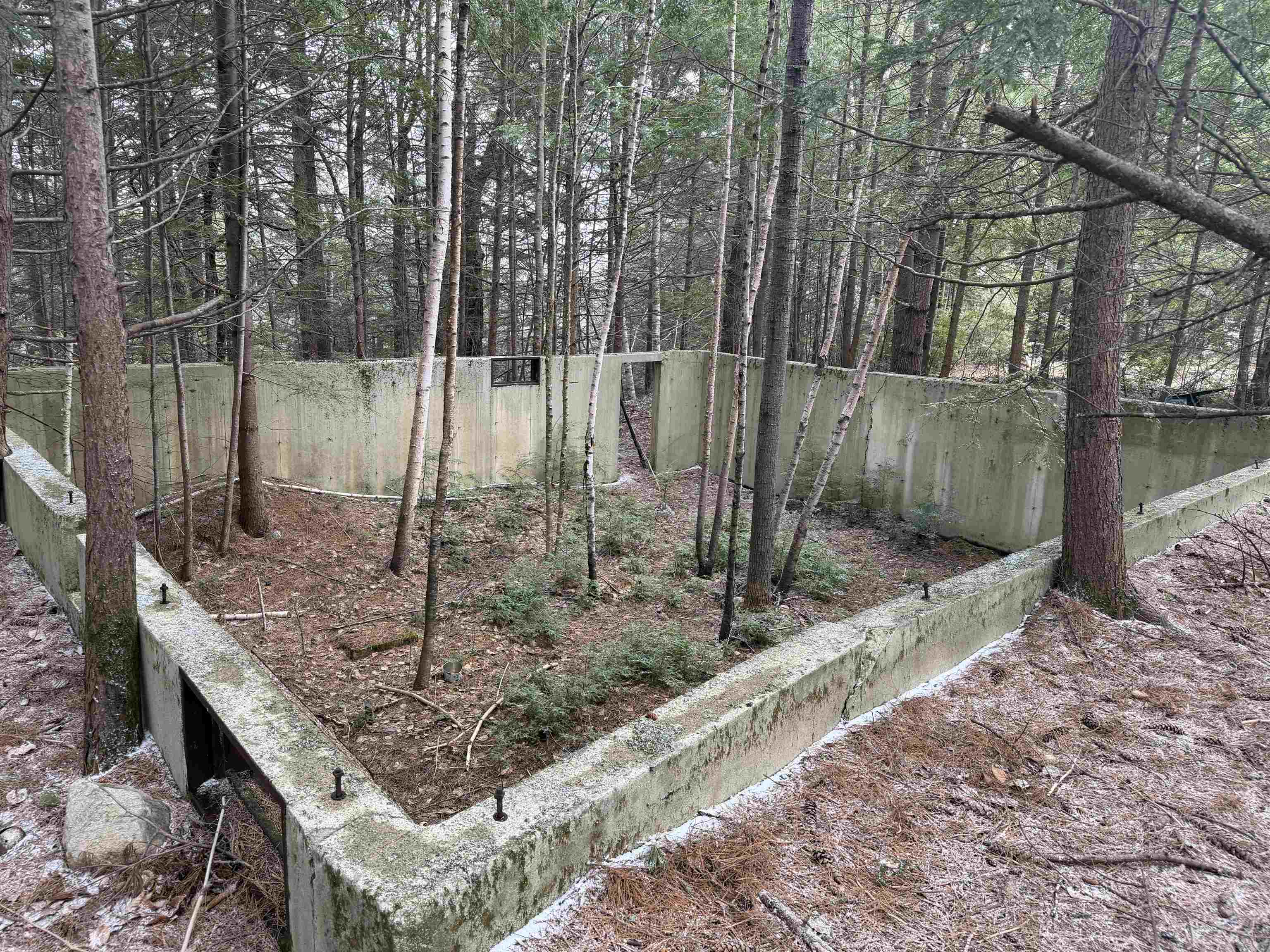 Forrester Road Property Photo 22