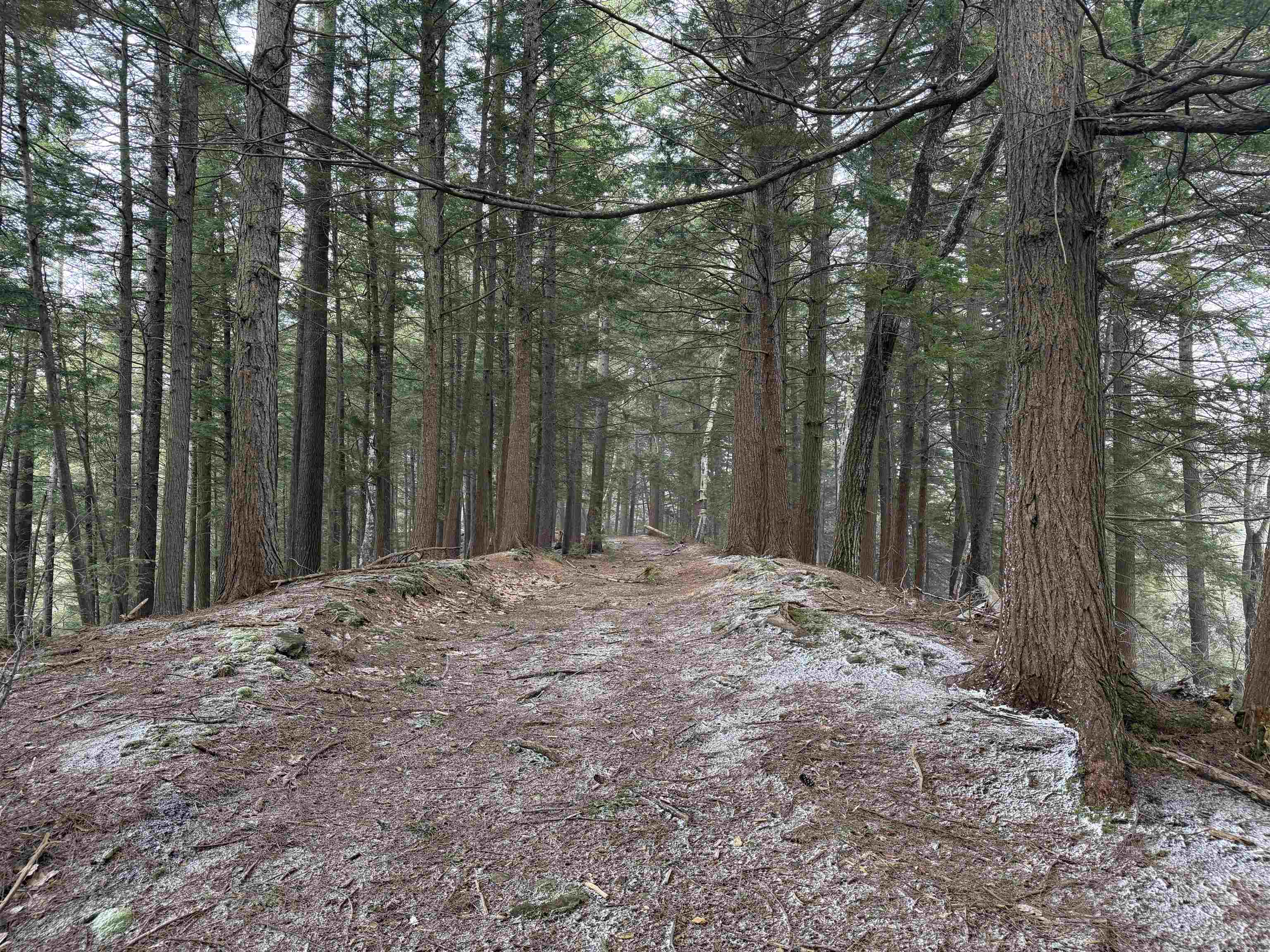 Forrester Road Property Photo 23