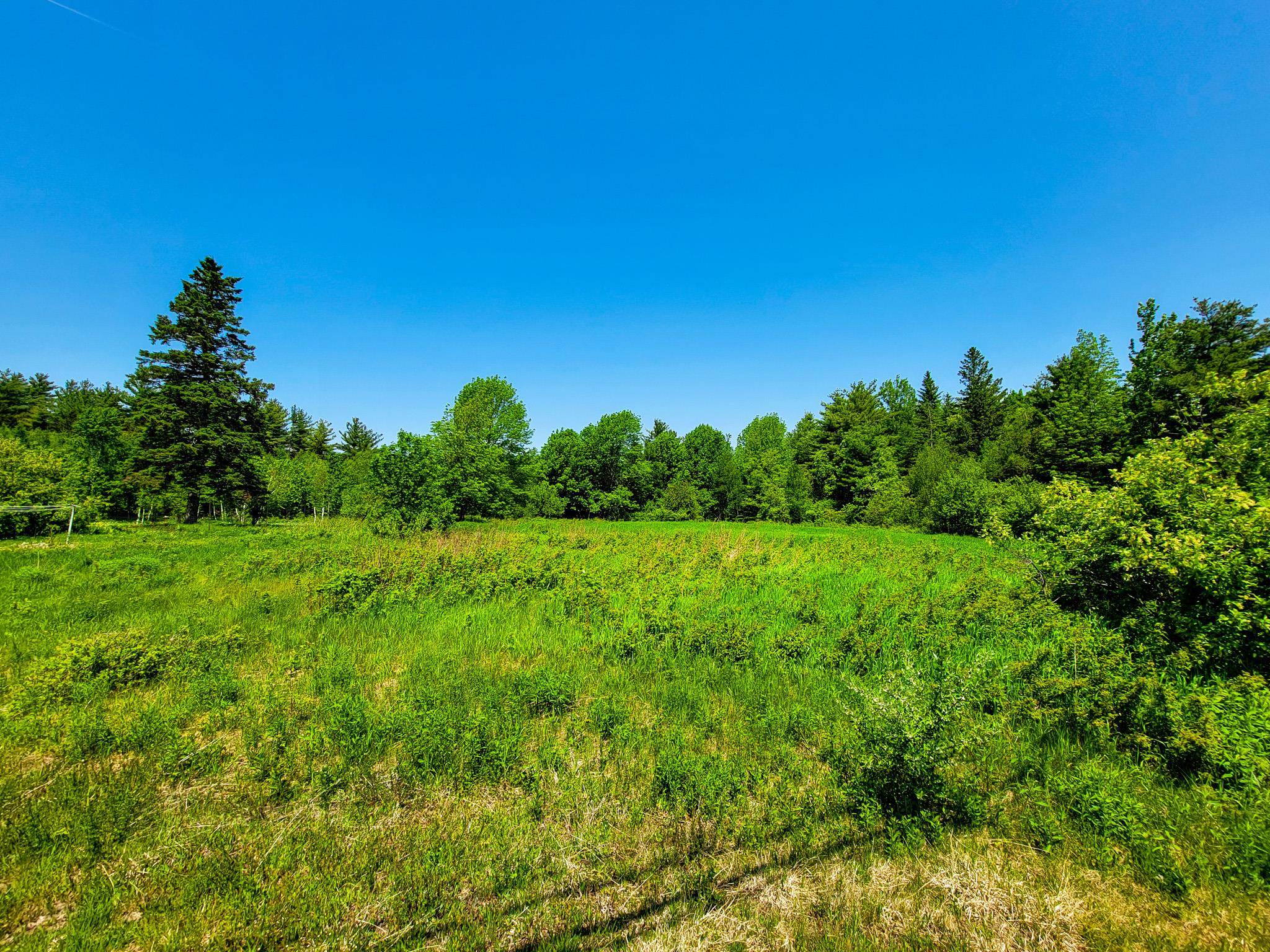 280 Gorham Hill Road Property Photo 16