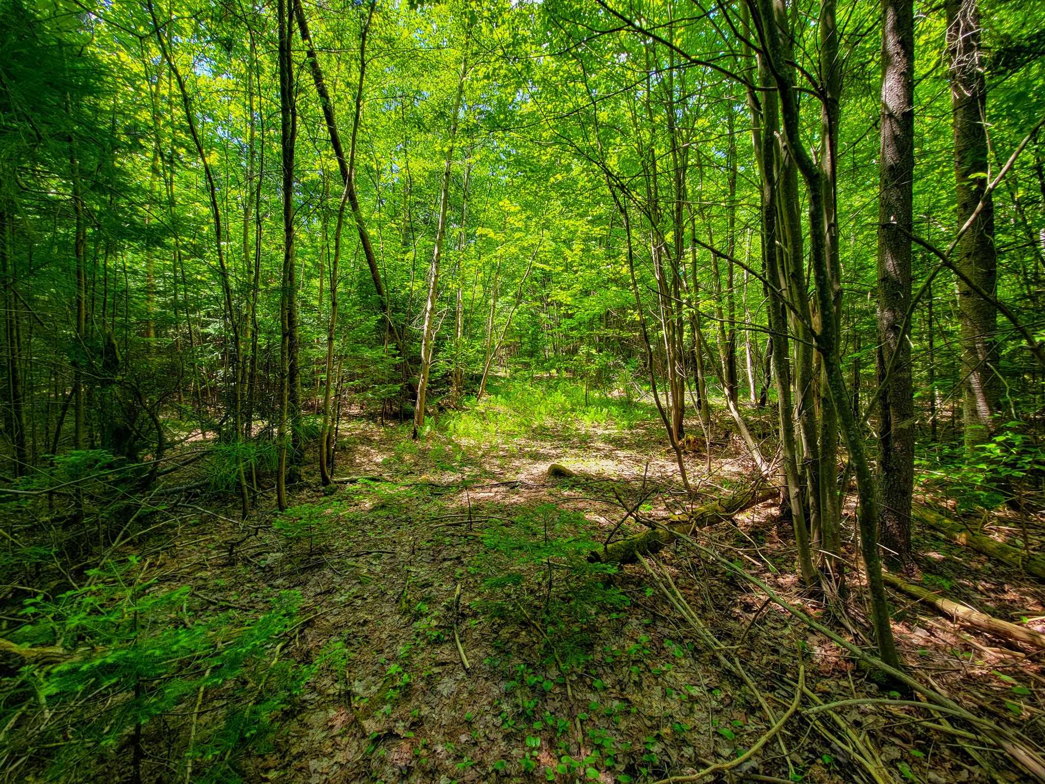 280 Gorham Hill Road Property Photo 31