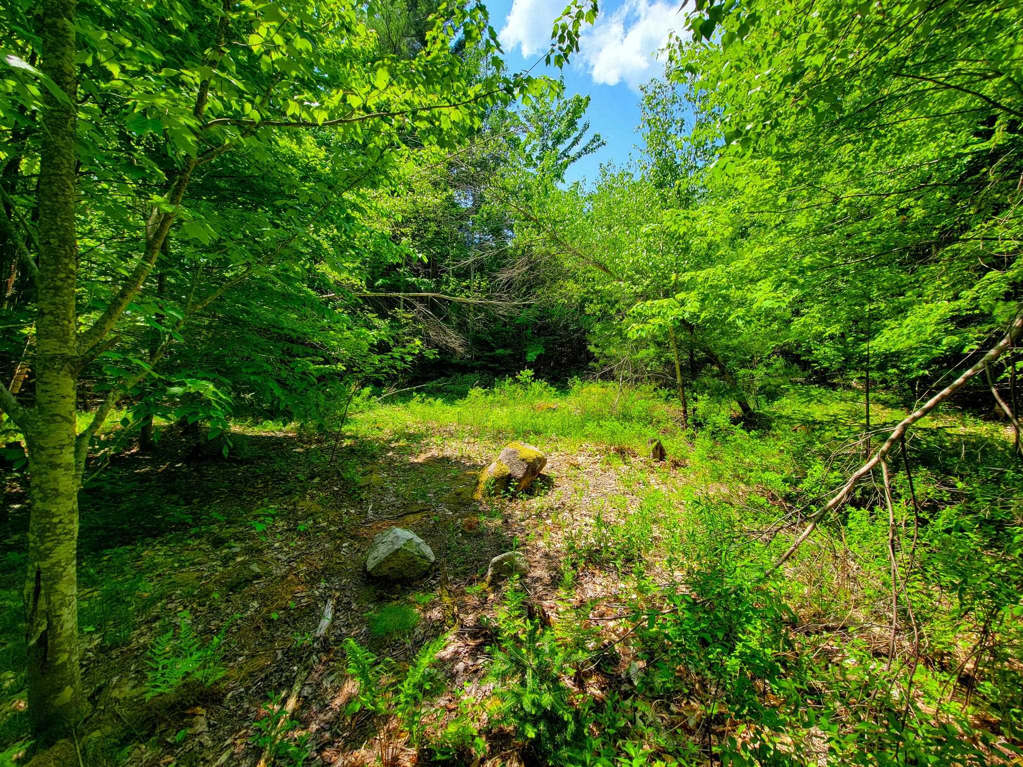 280 Gorham Hill Road Property Photo 34