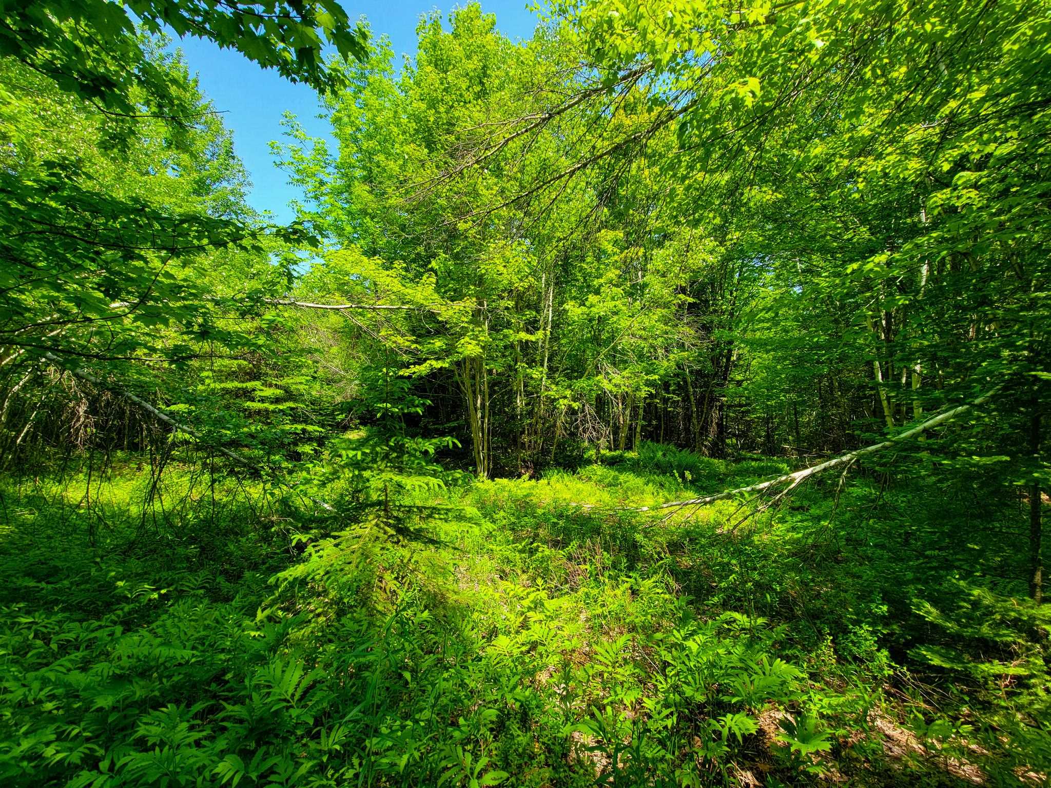 280 Gorham Hill Road Property Photo 35