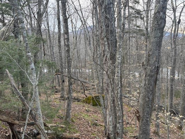 Lot 8 Barrows Towne Road Property Photo 1