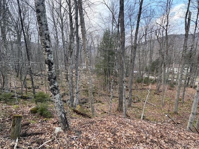 Lot 8 Barrows Towne Road Property Photo 3