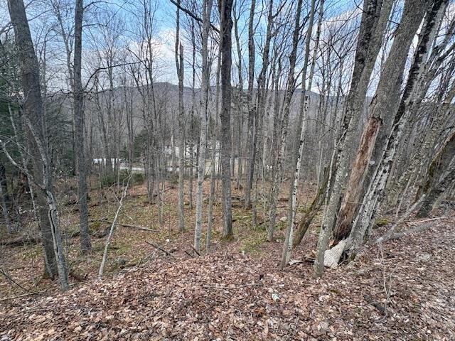 Lot 8 Barrows Towne Road Property Photo 4