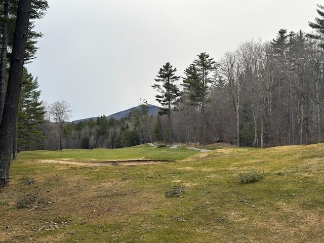 Lot 8 Barrows Towne Road Property Photo 6