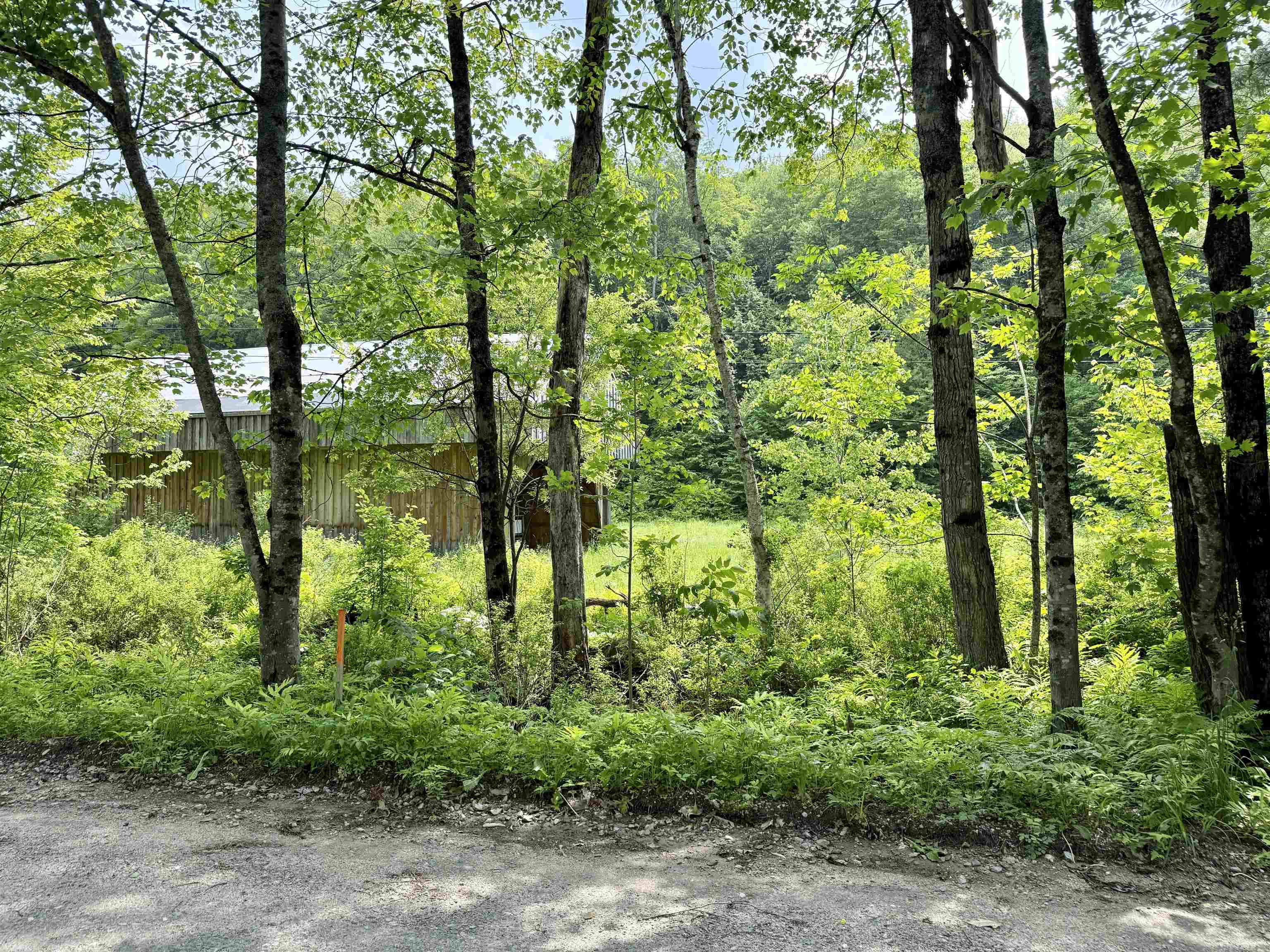 508 Mattson Road Property Photo 11