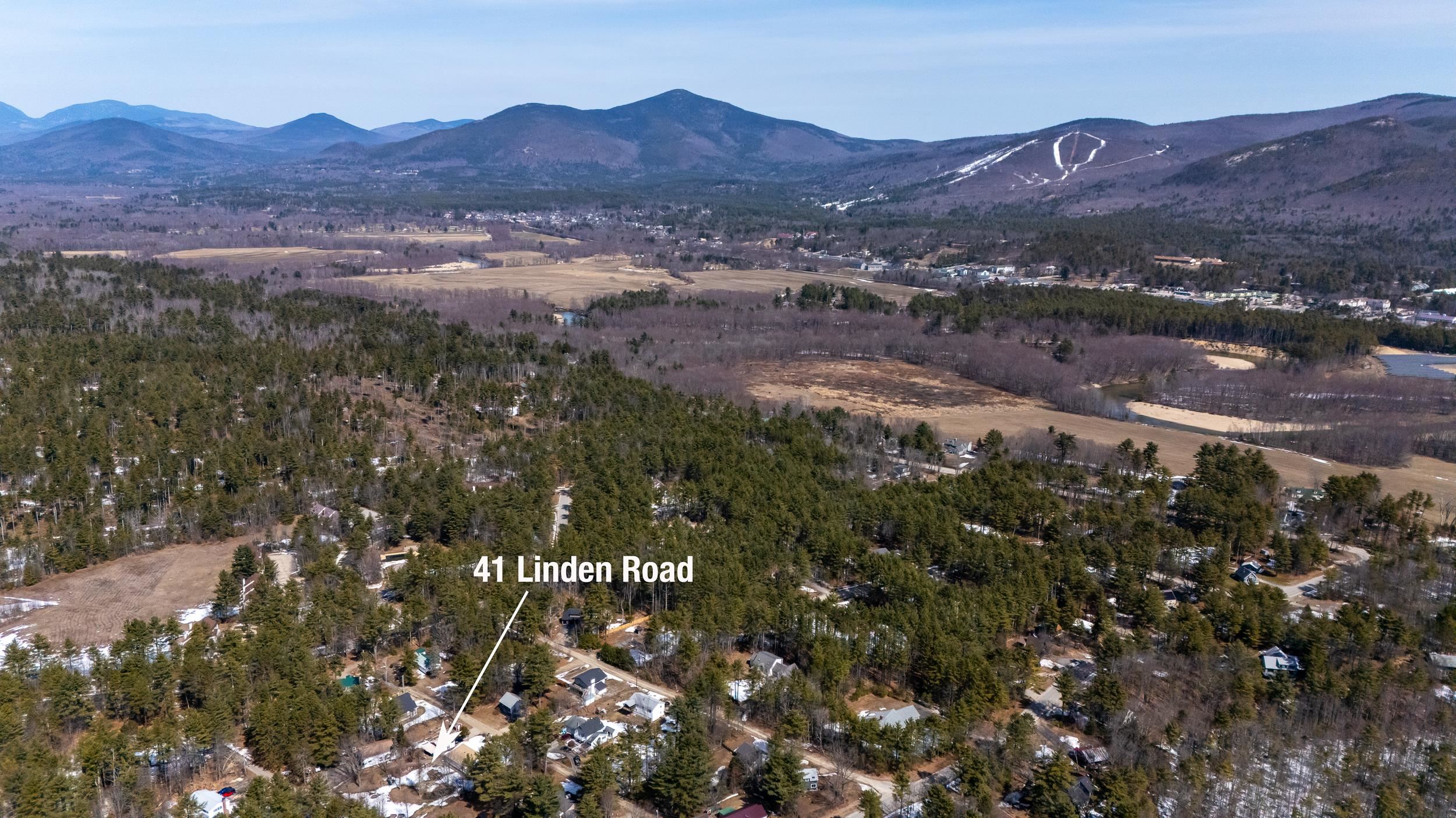 41 Linden Road Property Photo 38