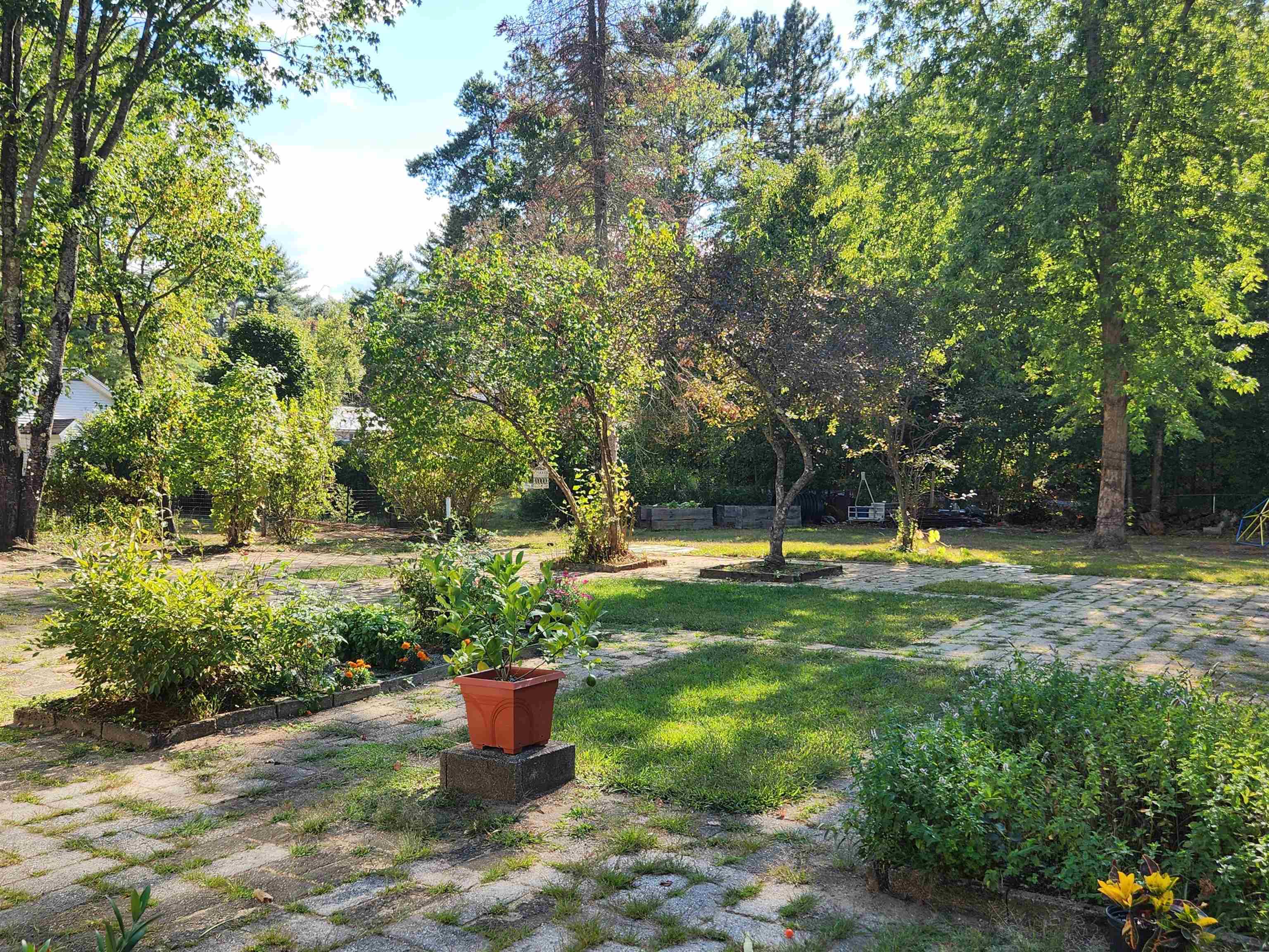 41 Linden Road Property Photo 36