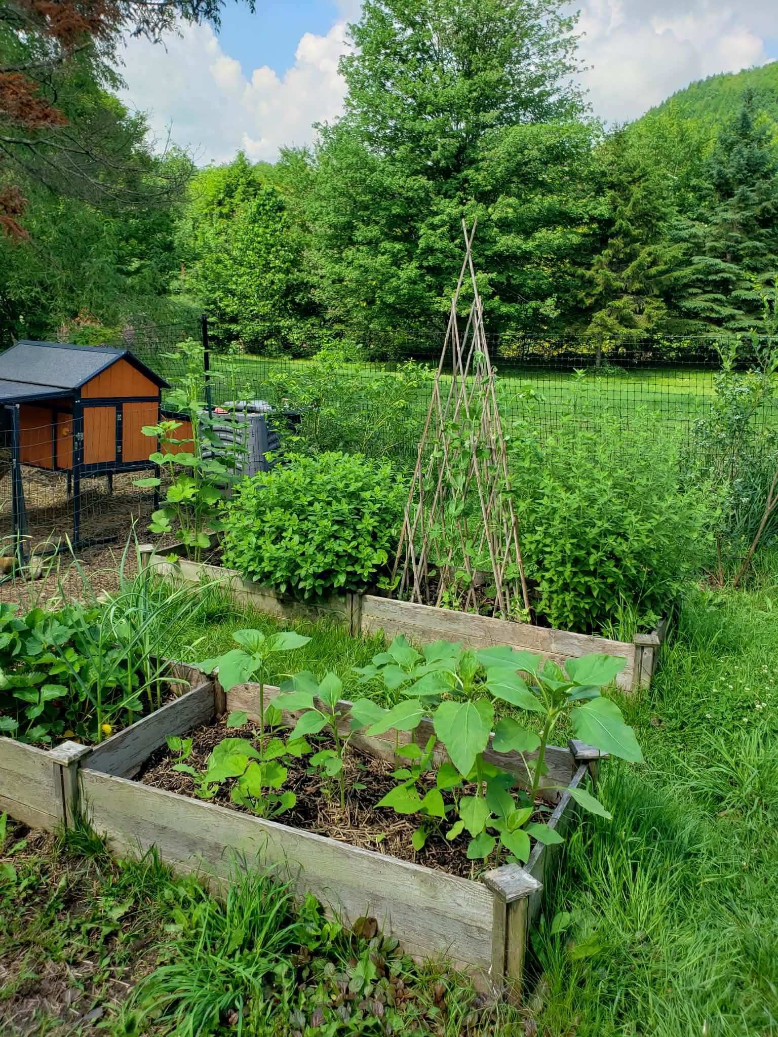 713 Vt Route 12 Property Photo 45