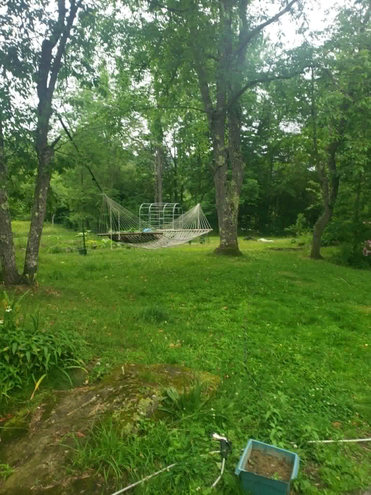 713 Vt Route 12 Property Photo 49