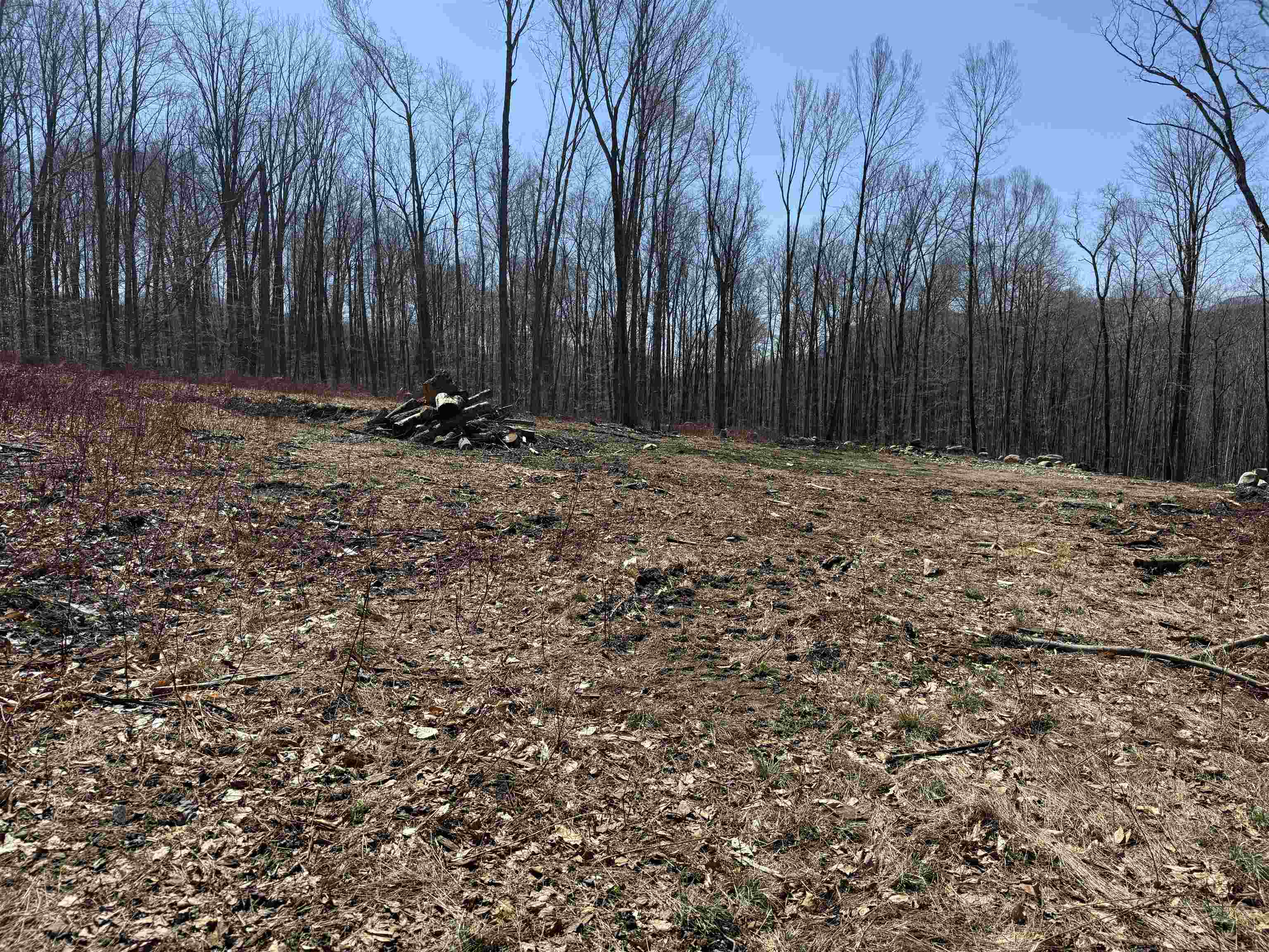 0 Rocky Lane Property Photo 6