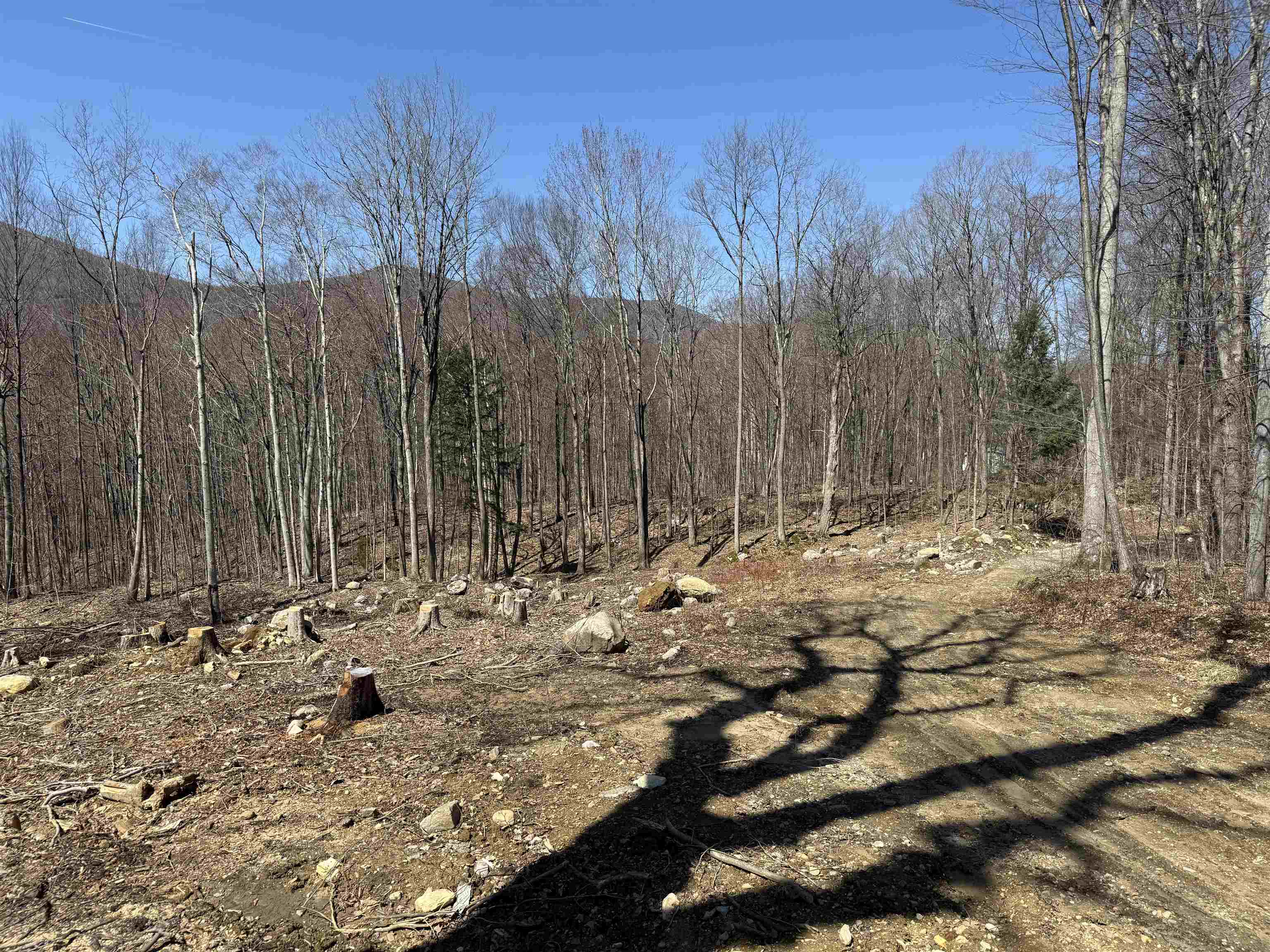 0 Rocky Lane Property Photo 8