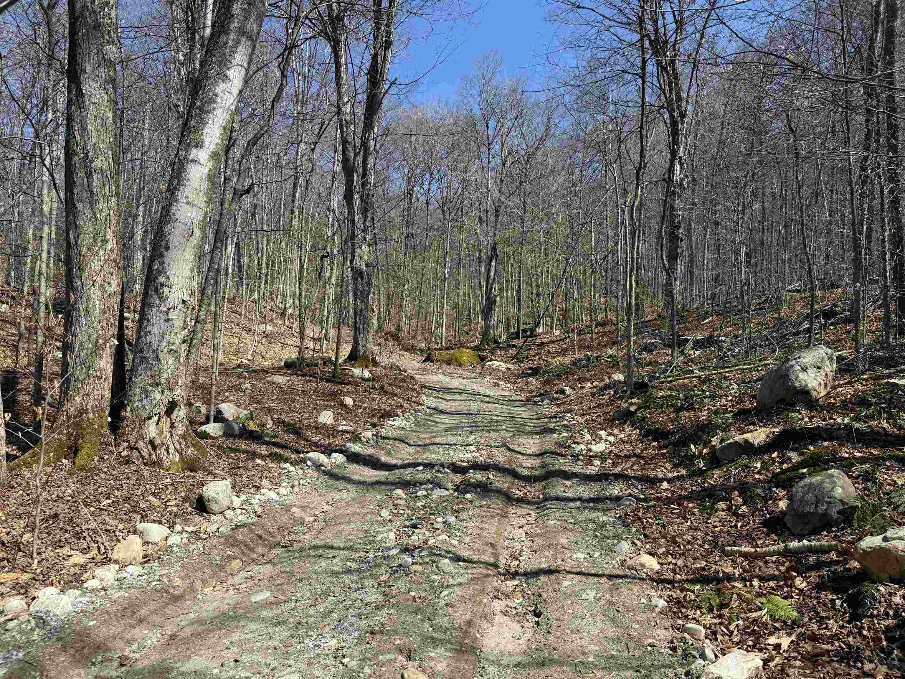 0 Rocky Lane Property Photo 10
