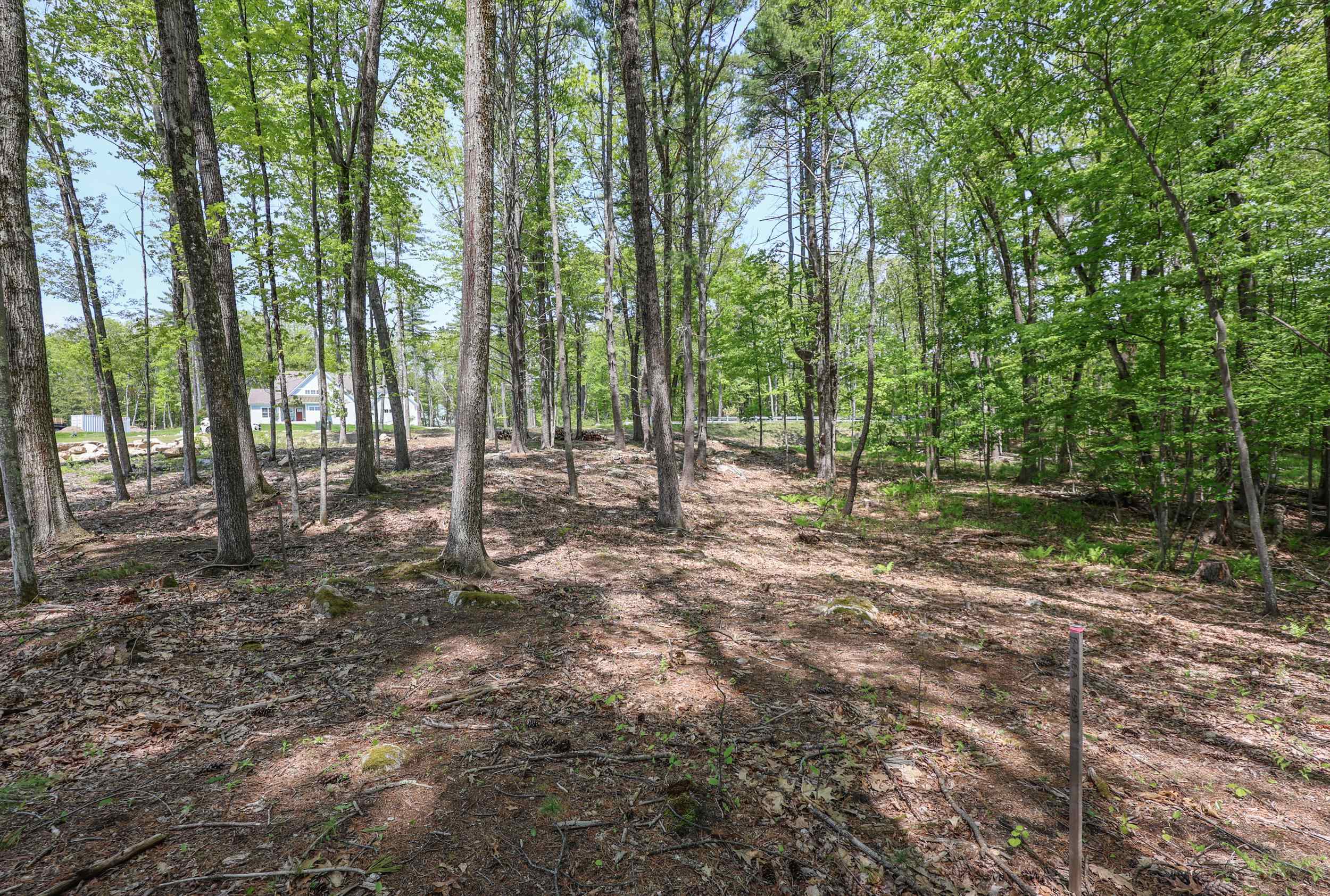 44-9 Olympus Way Property Photo 11