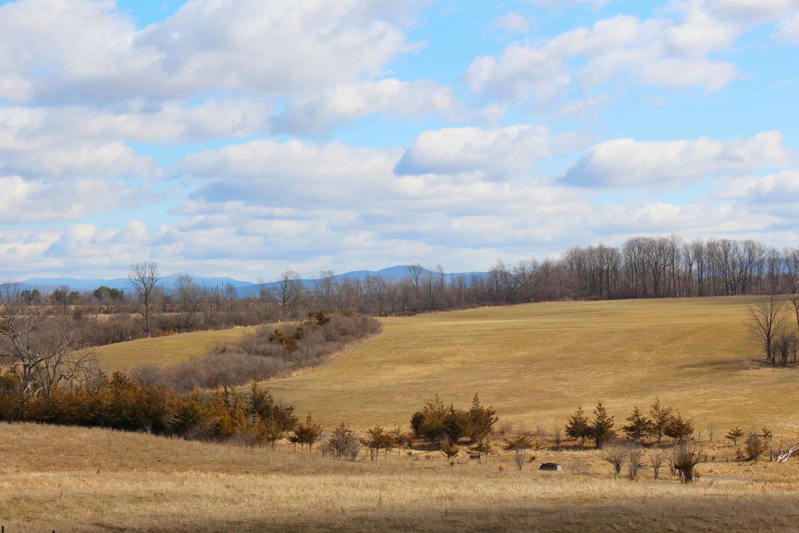 812 Wooster Road Property Photo 18