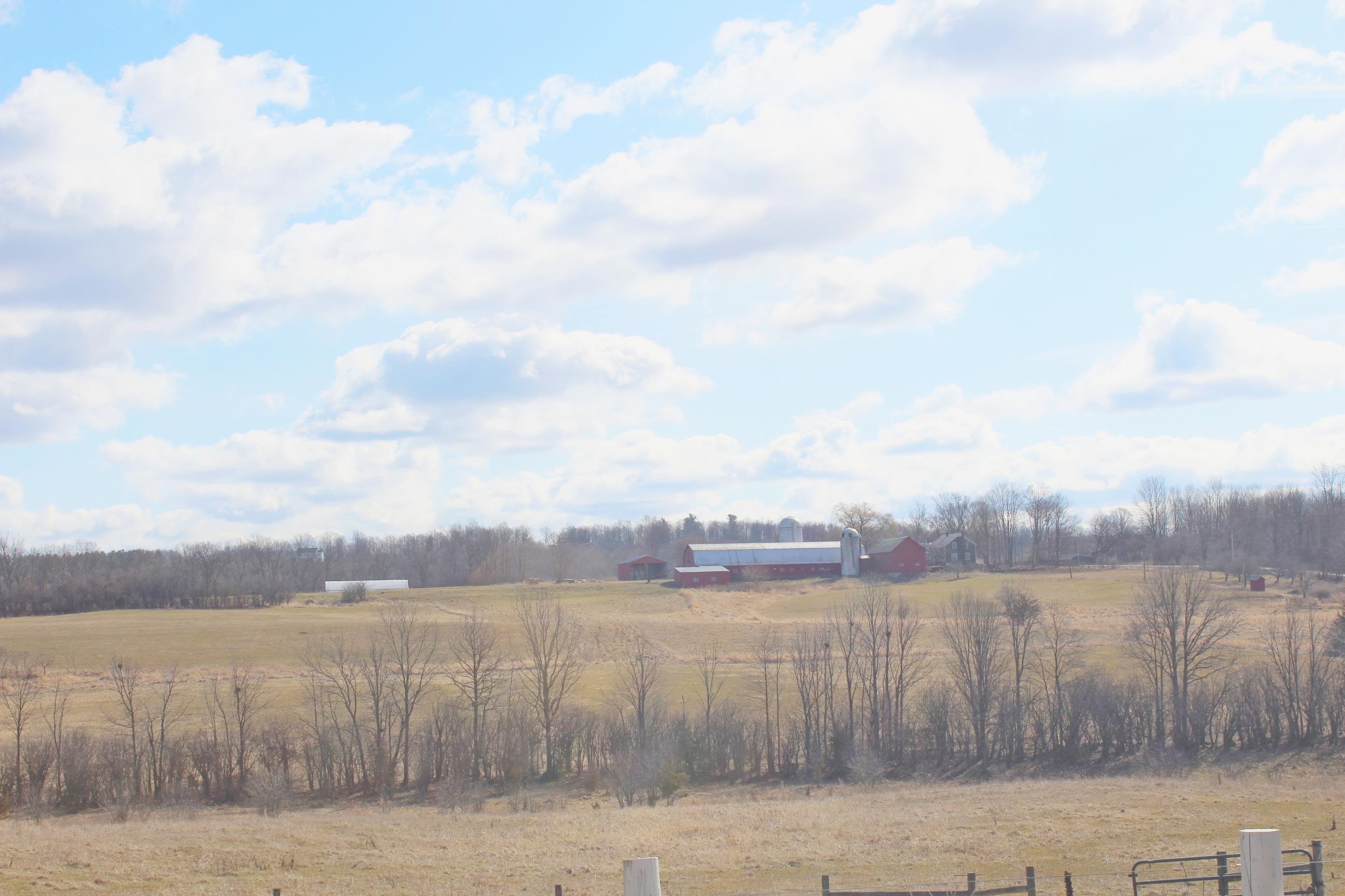 812 Wooster Road Property Photo 20