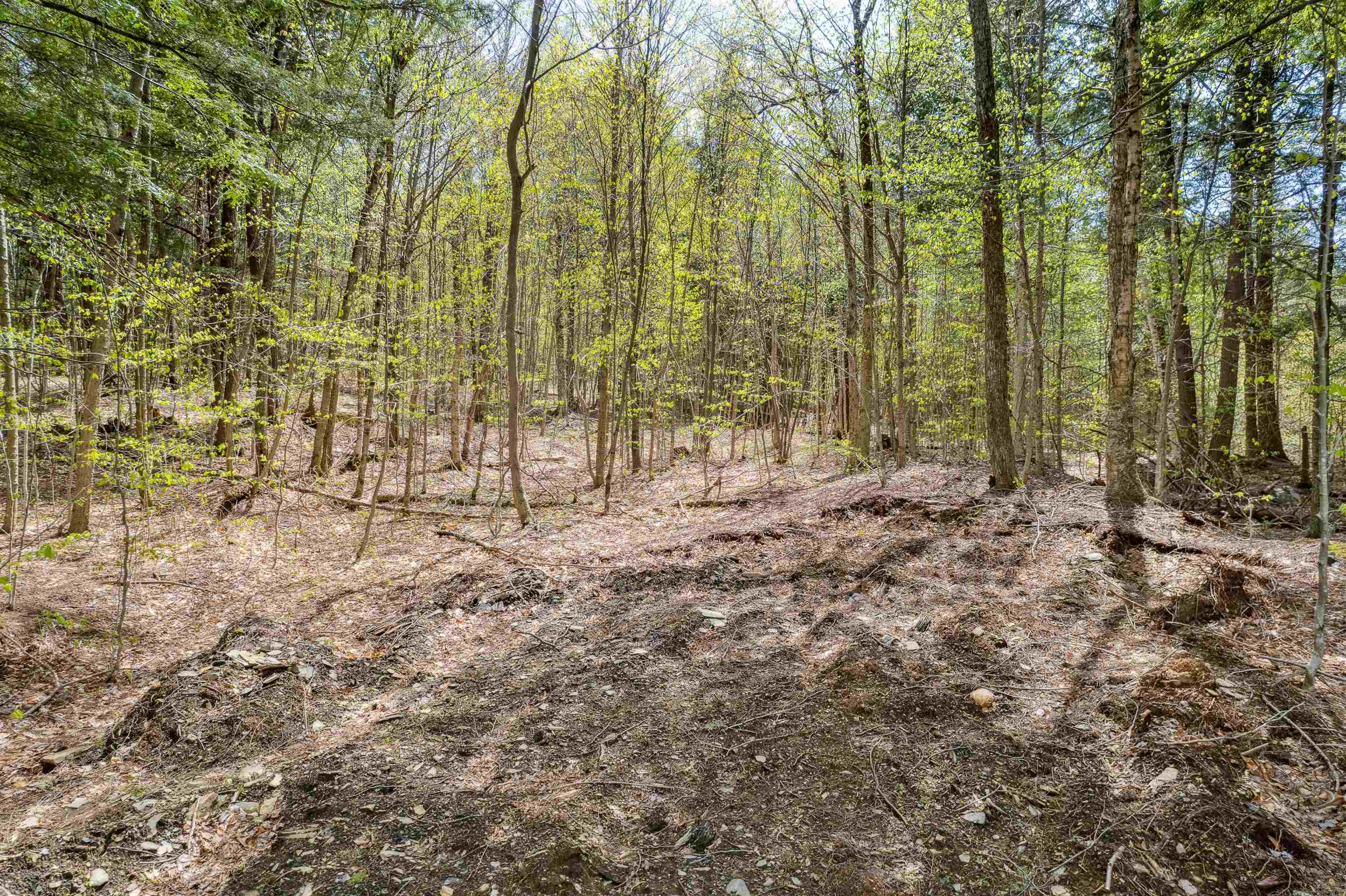 00 Chapel Hill Road Property Photo 2
