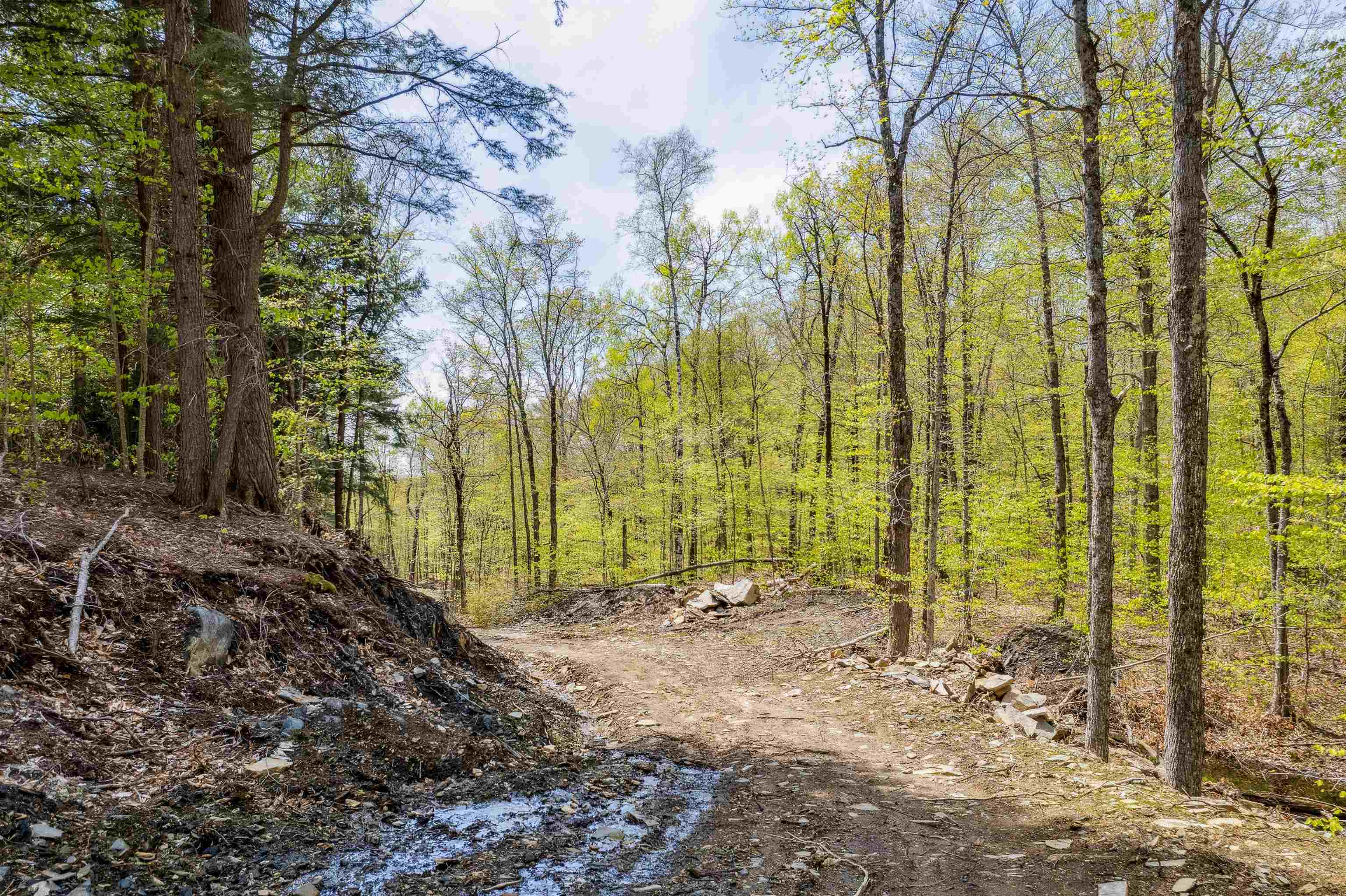 00 Chapel Hill Road Property Photo 16