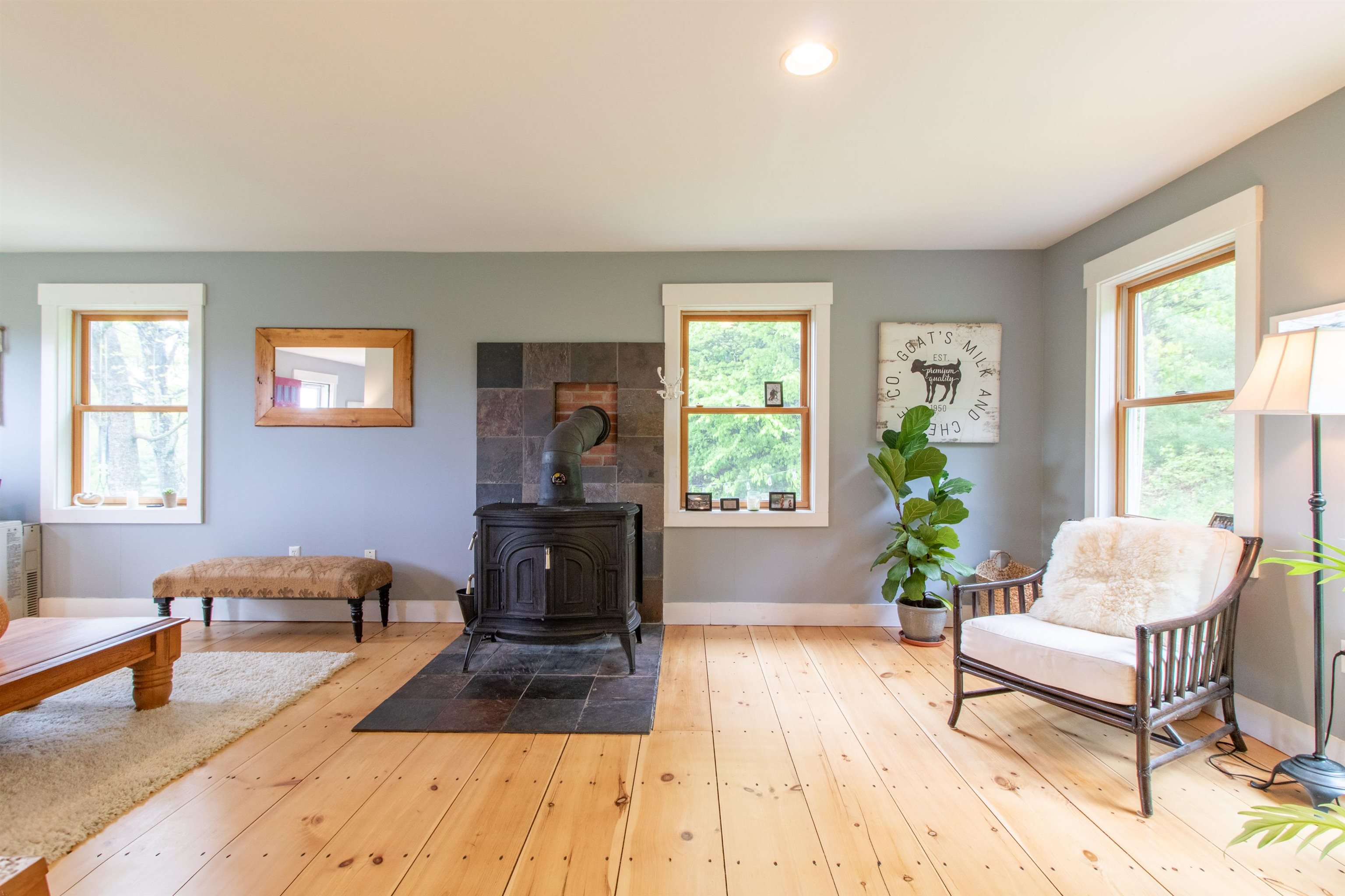 101 Tunny Mountain Road Property Photo 19
