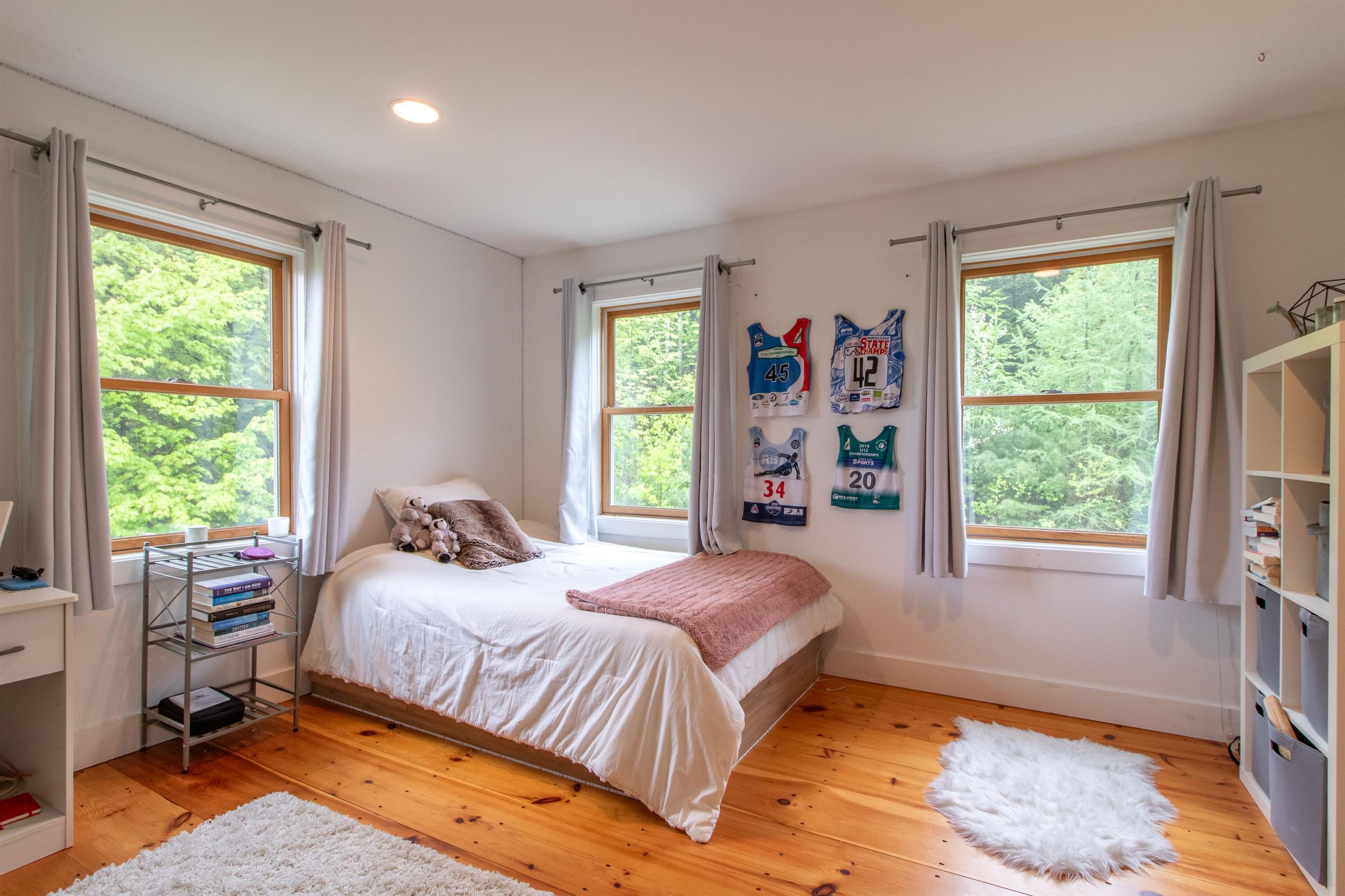 101 Tunny Mountain Road Property Photo 35