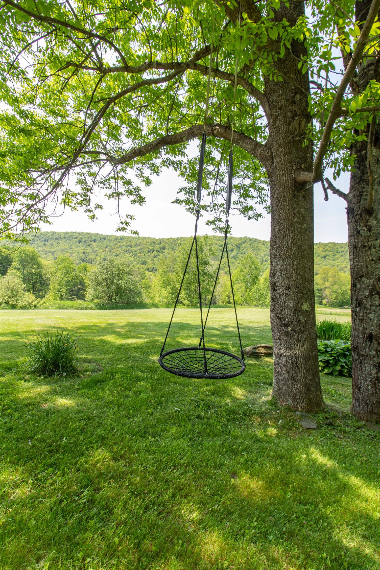 101 Tunny Mountain Road Property Photo 49