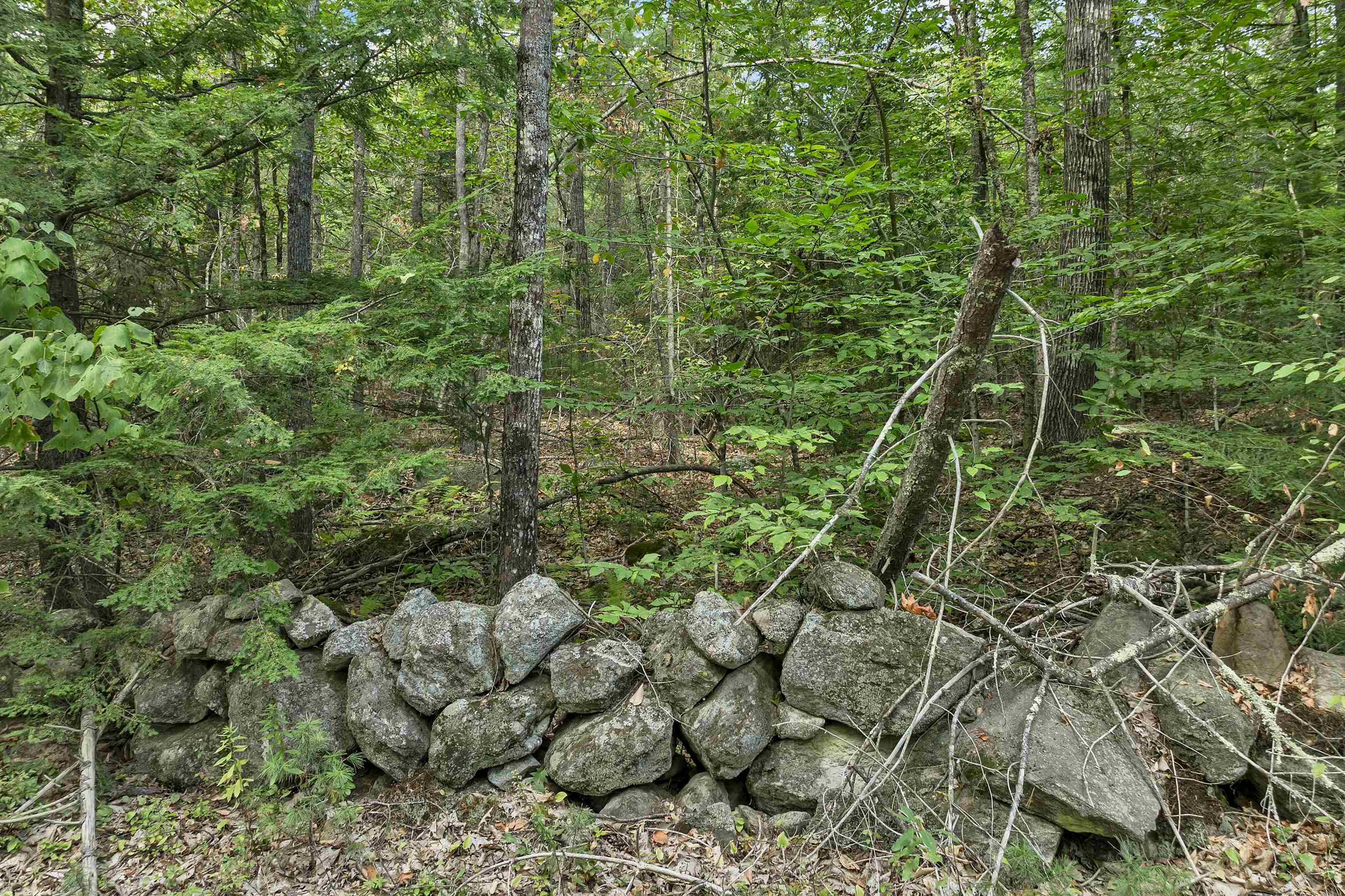 Lot 76 Vail Road Property Photo 2