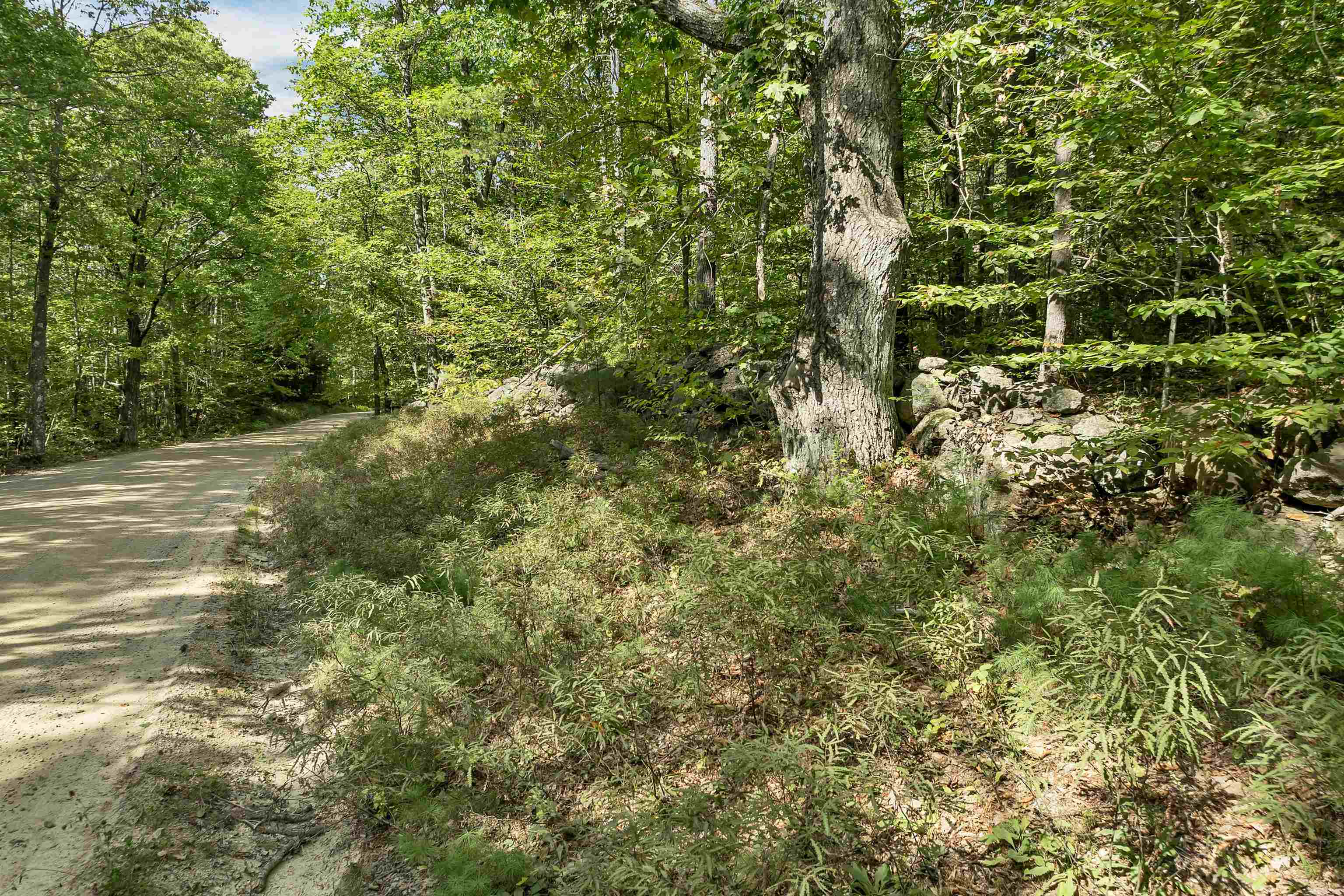Lot 76 Vail Road Property Photo 3