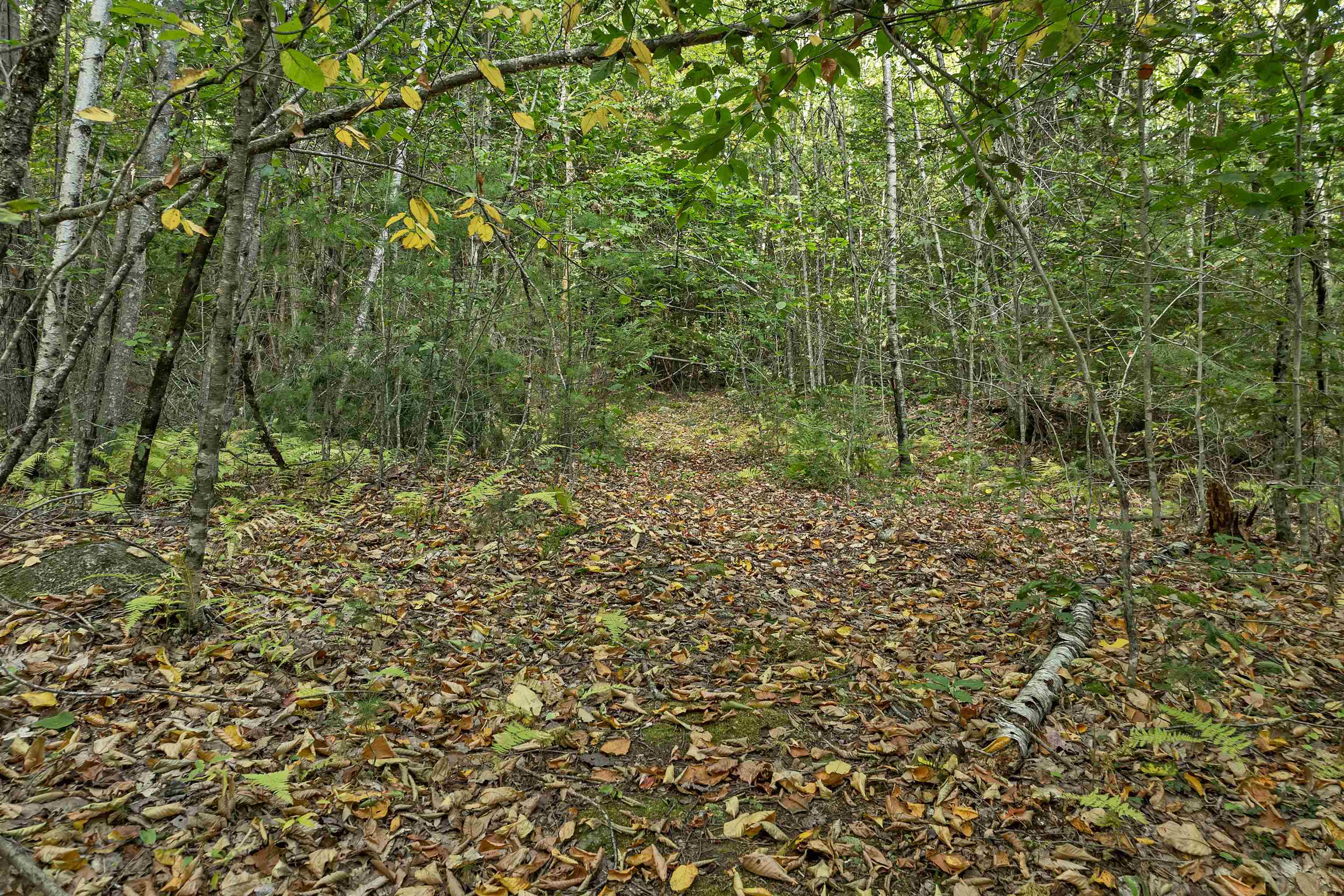 Lot 76 Vail Road Property Photo 4