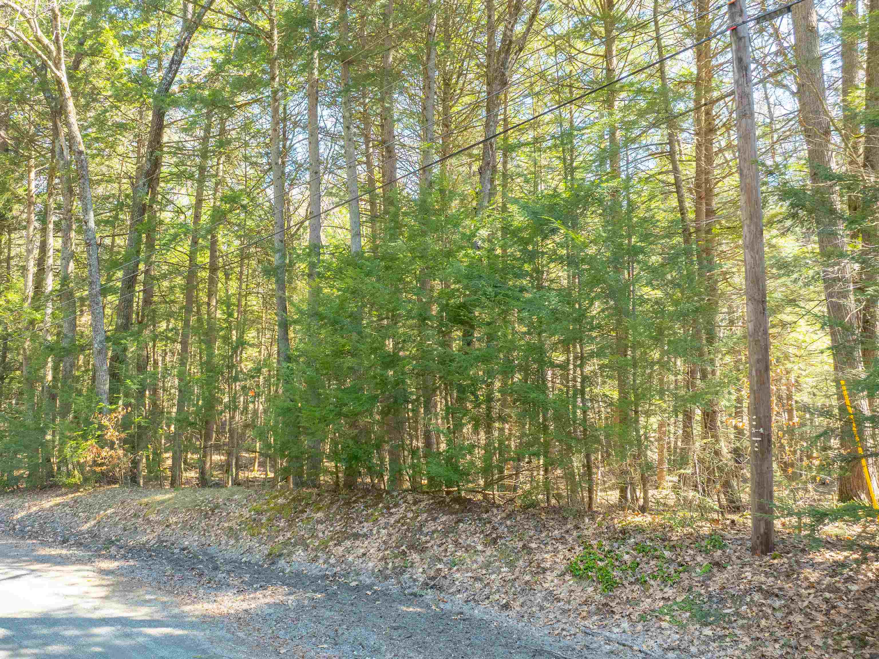 00 Morrill Bend Property Photo 3