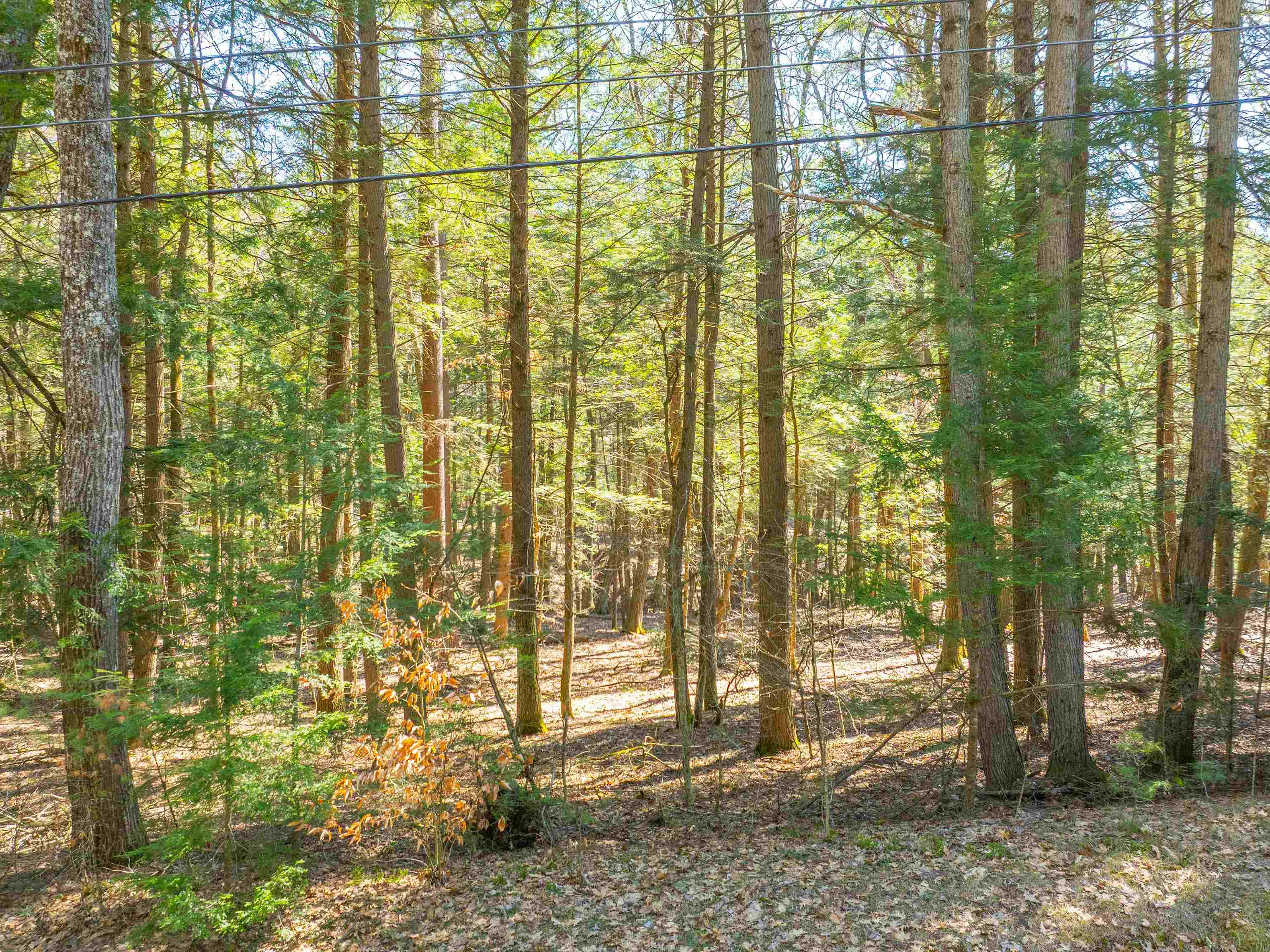 00 Morrill Bend Property Photo 4