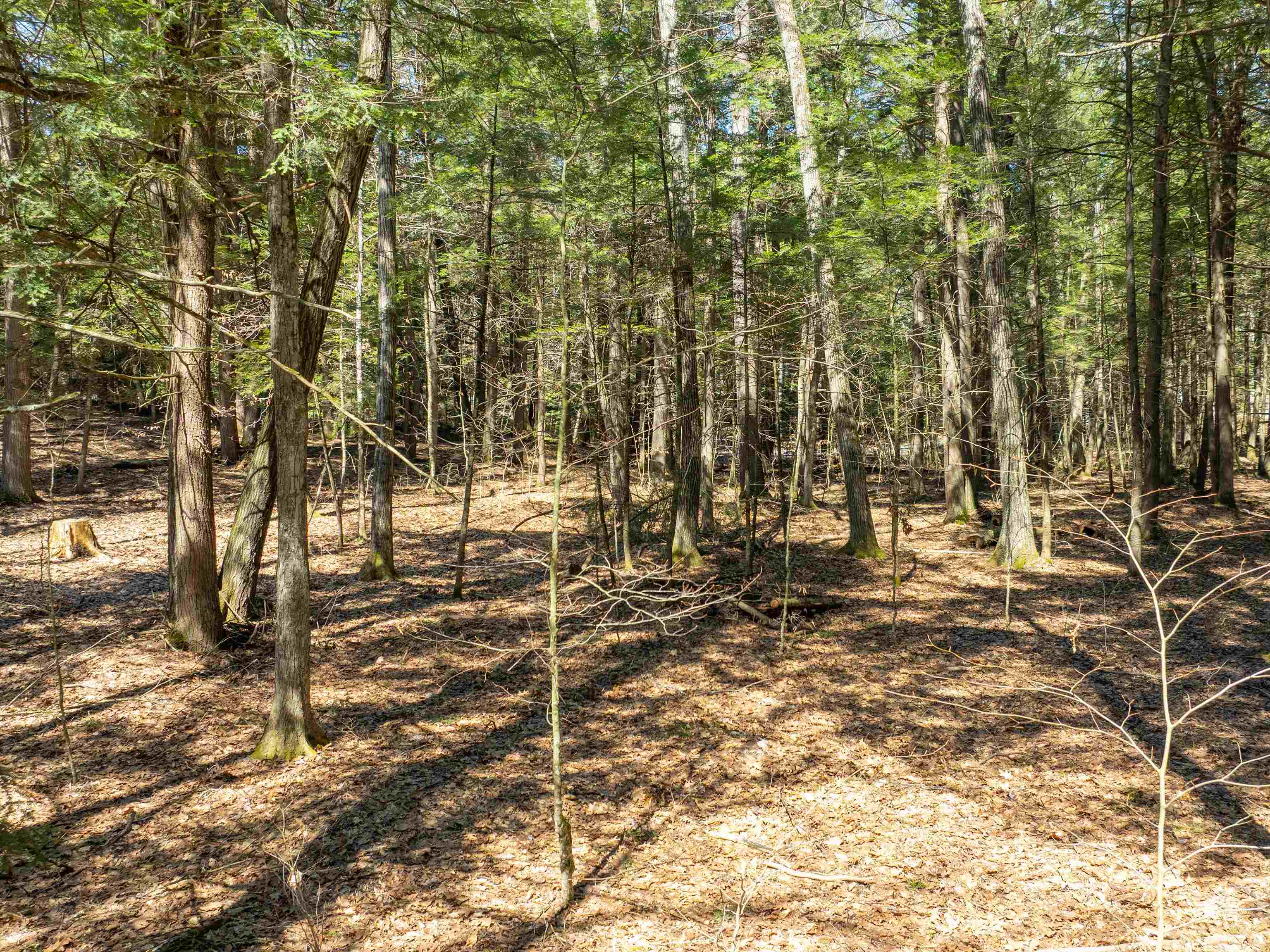 00 Morrill Bend Property Photo 8