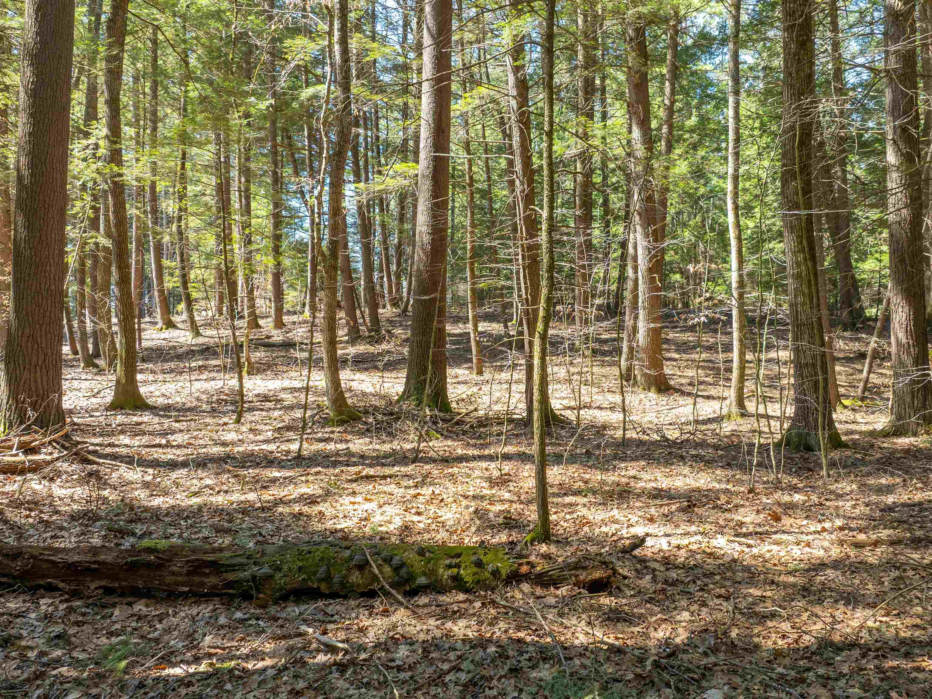 00 Morrill Bend Property Photo 10