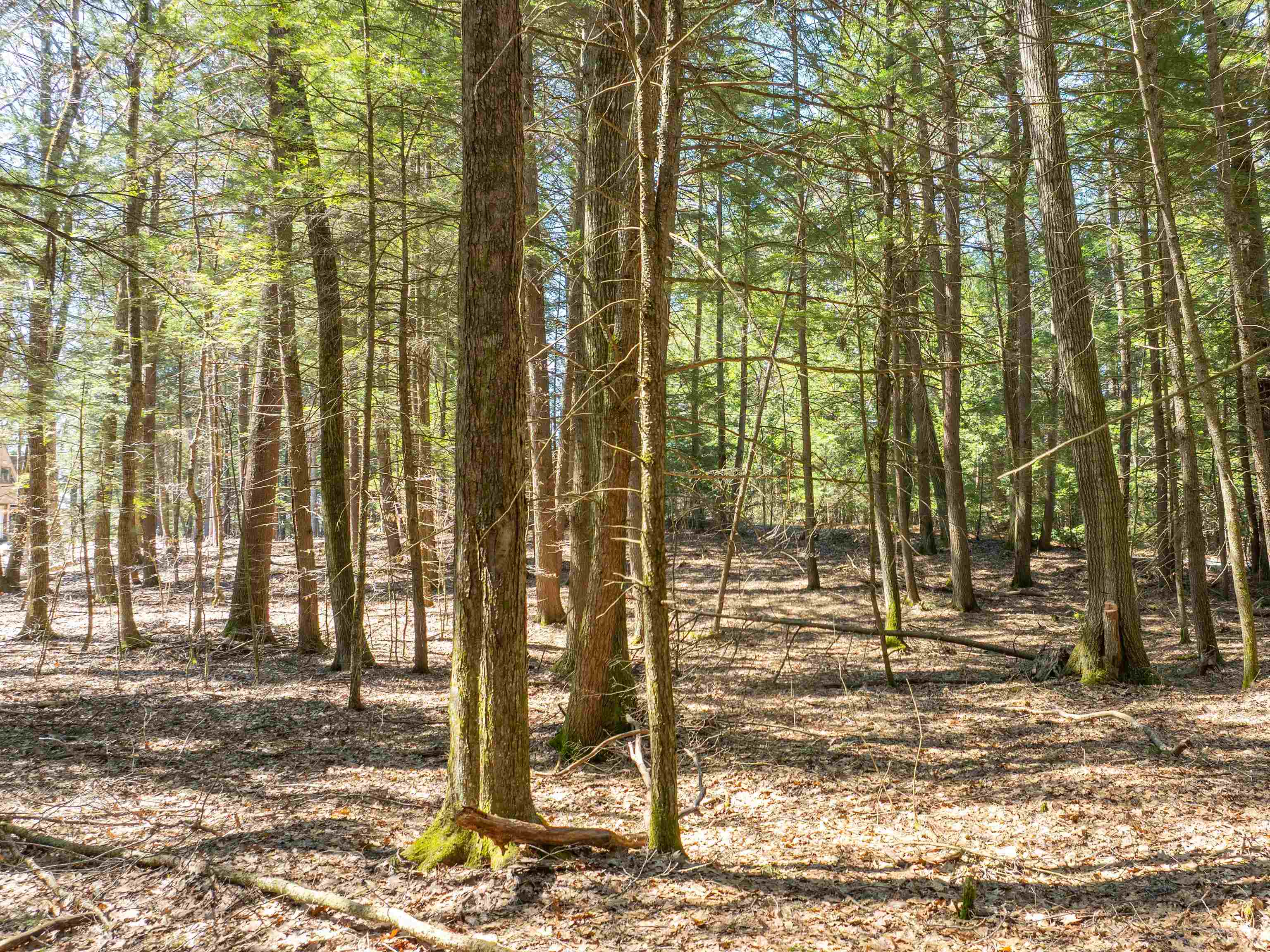 00 Morrill Bend Property Photo 11