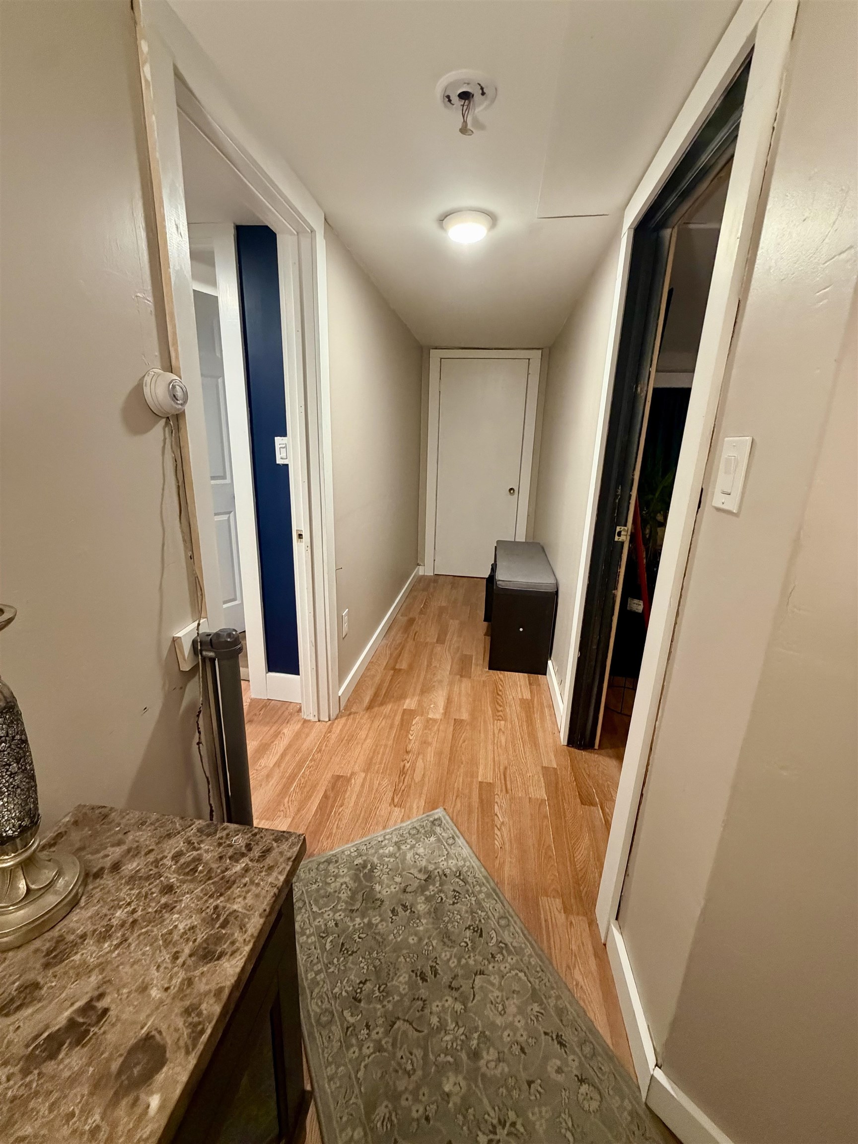 113 Plain Street Property Photo 21
