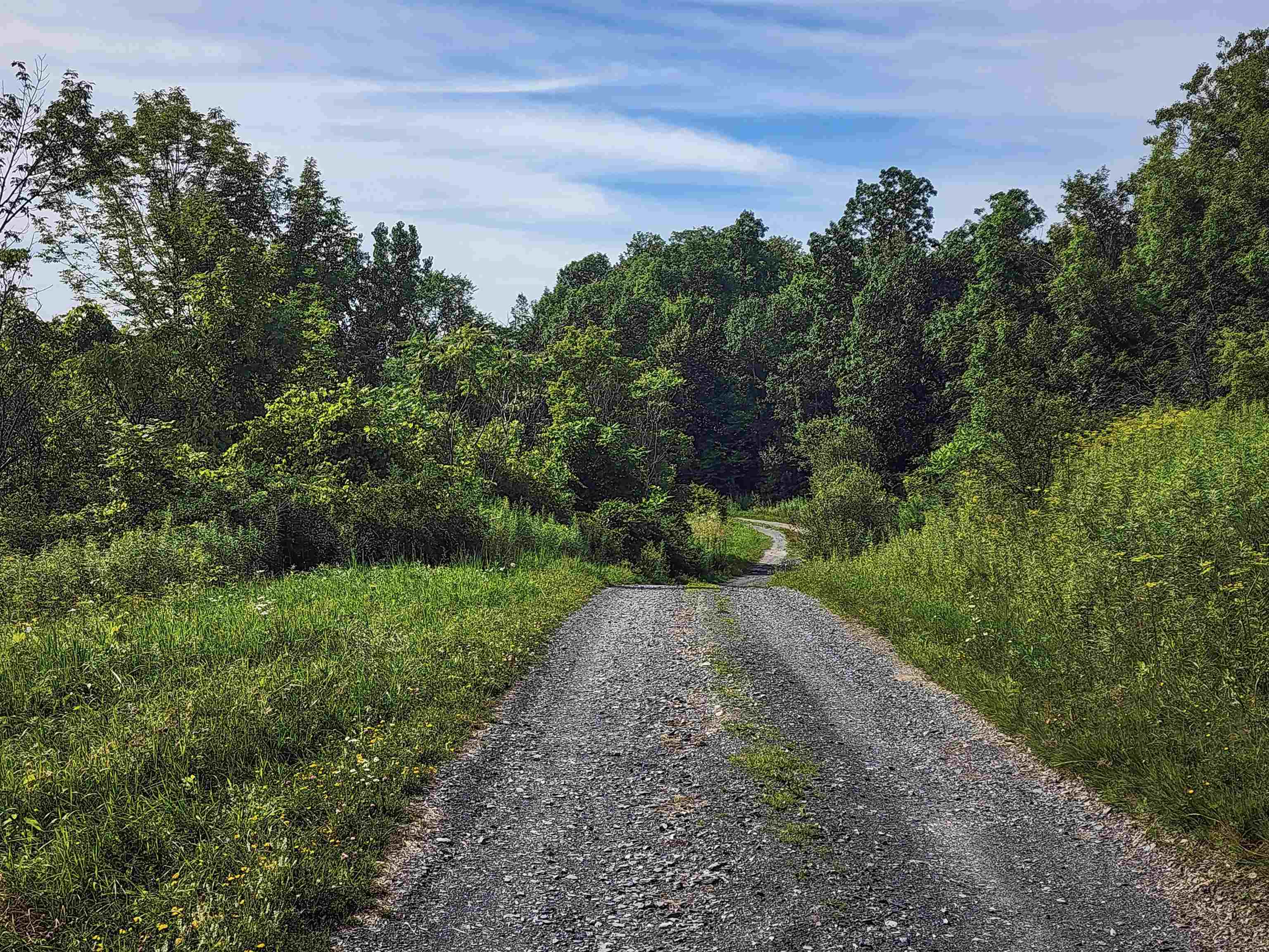 0 Applesauce Hill Road Property Photo 15