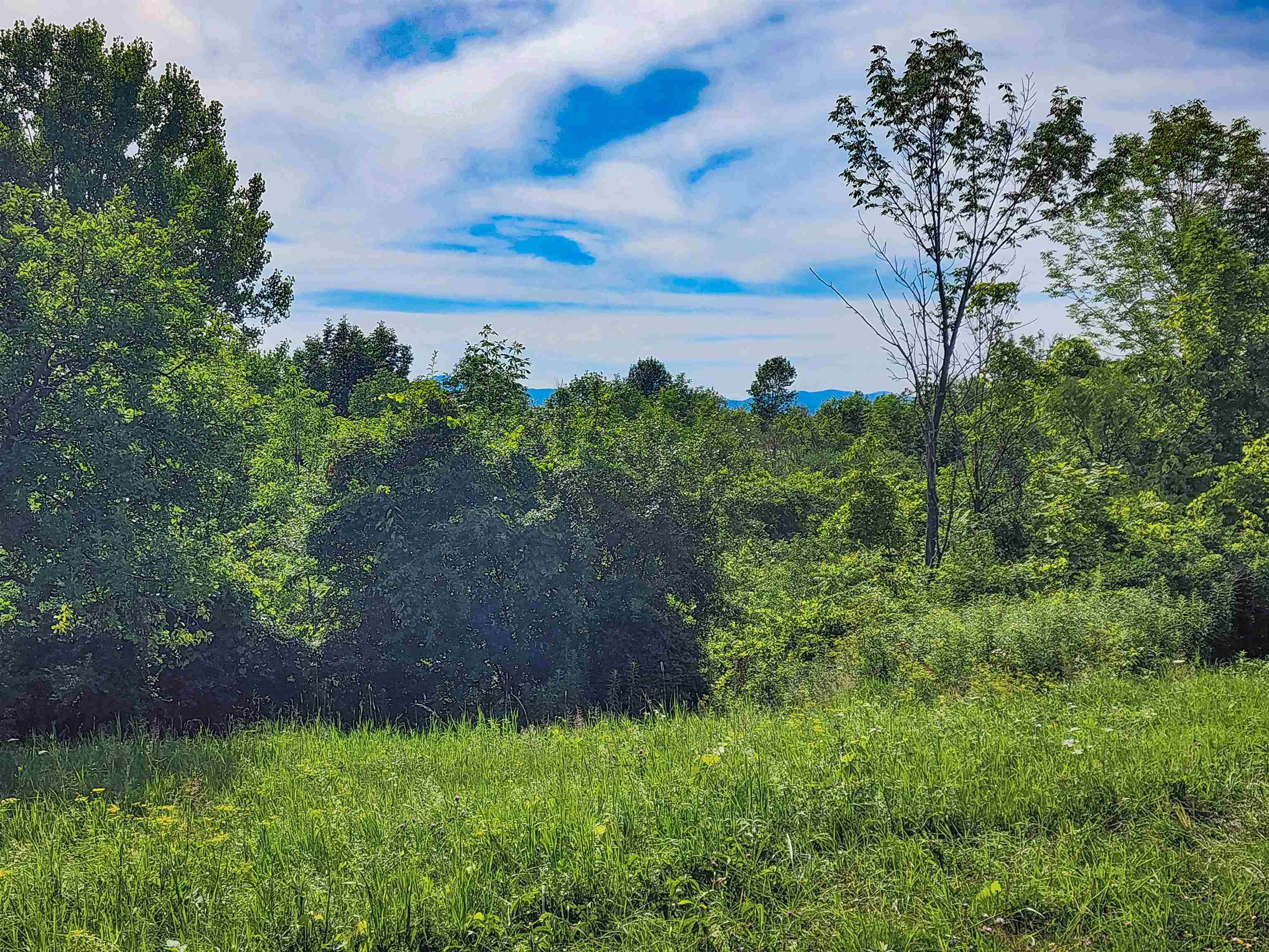 0 Applesauce Hill Road Property Photo 19