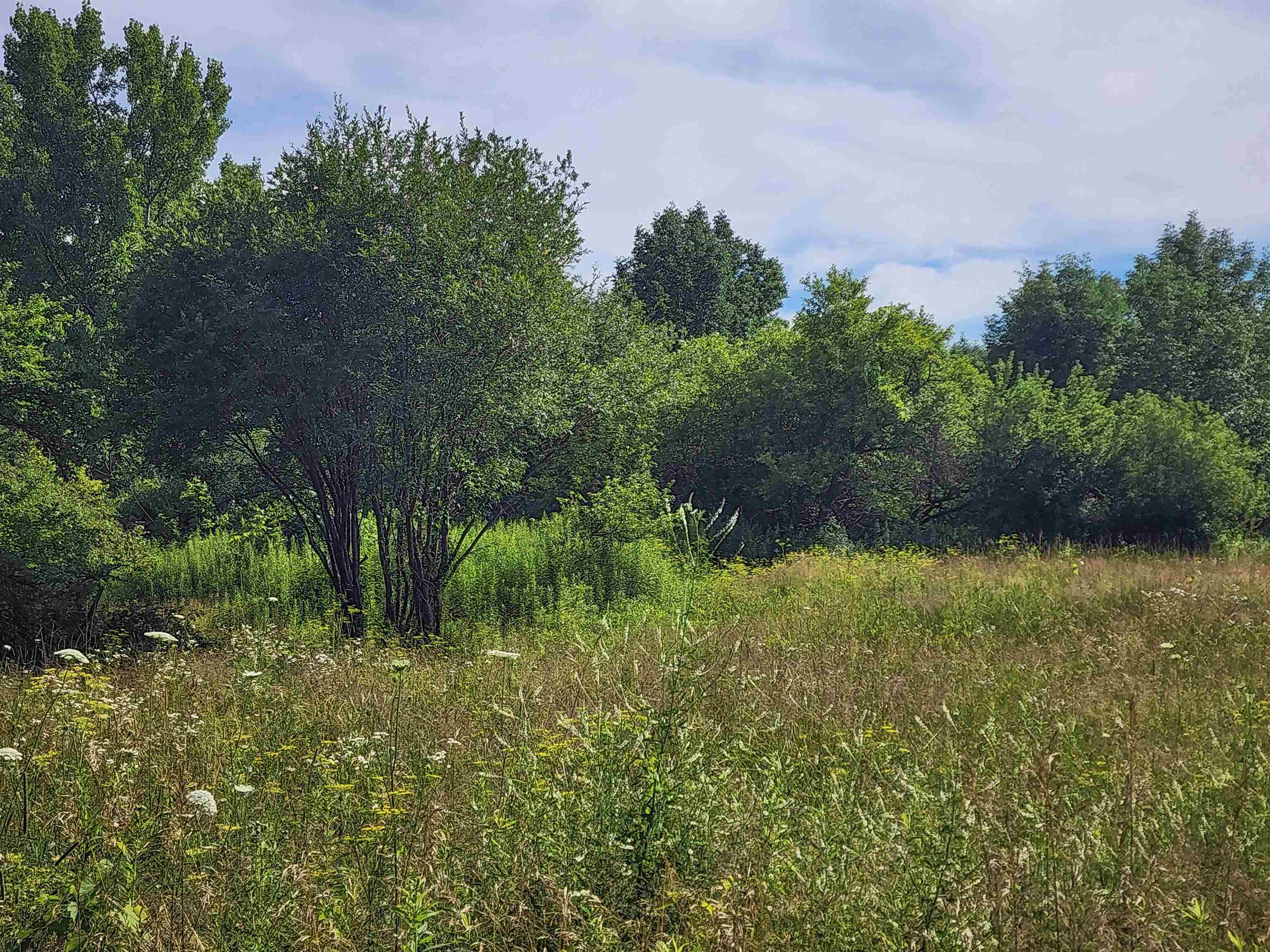 0 Applesauce Hill Road Property Photo 22