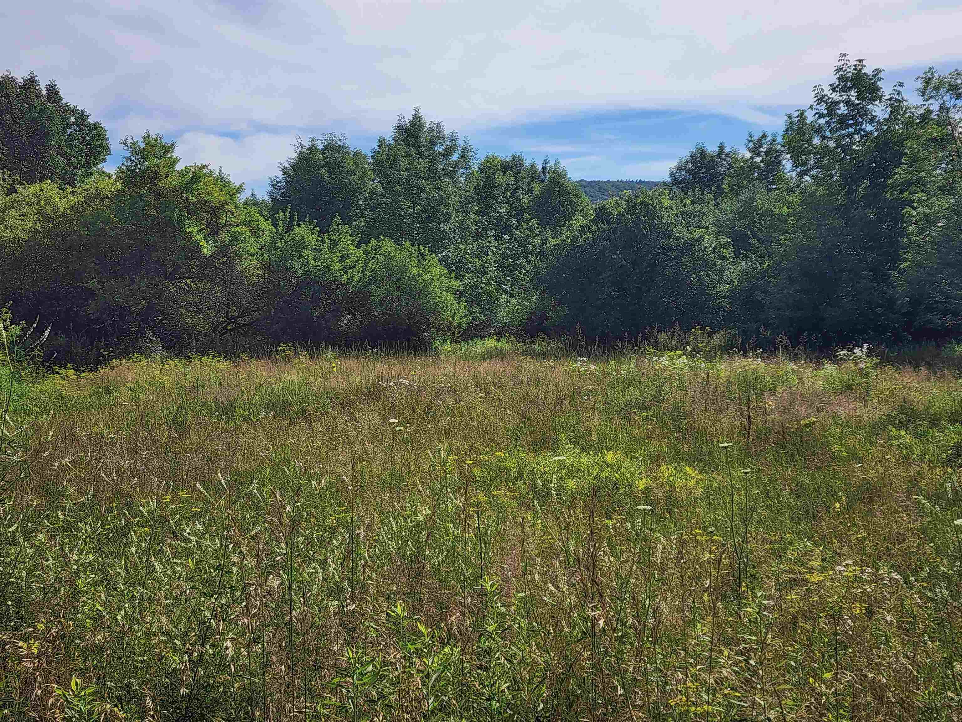 0 Applesauce Hill Road Property Photo 23