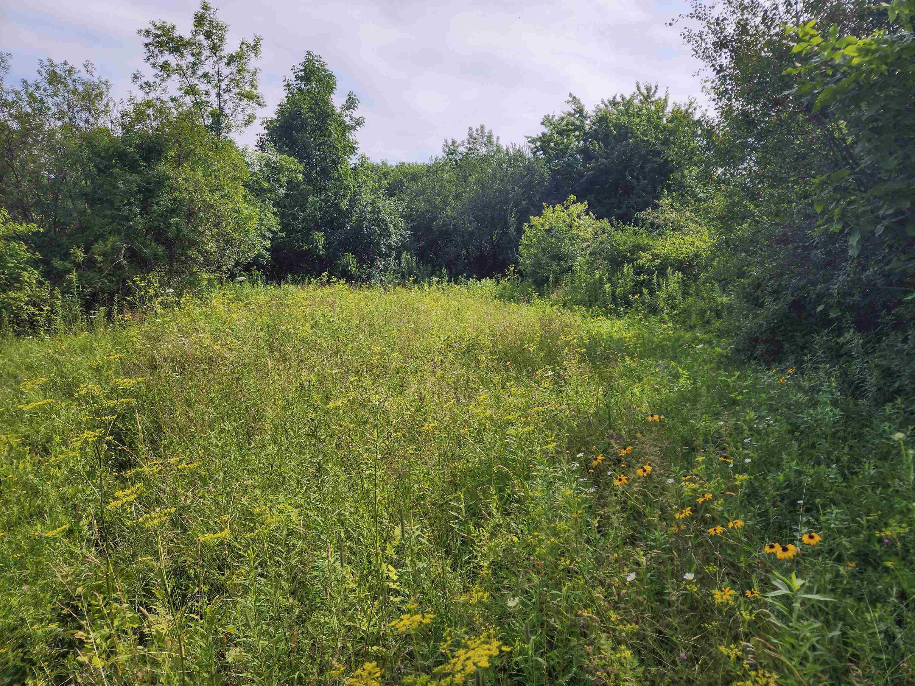 0 Applesauce Hill Road Property Photo 28